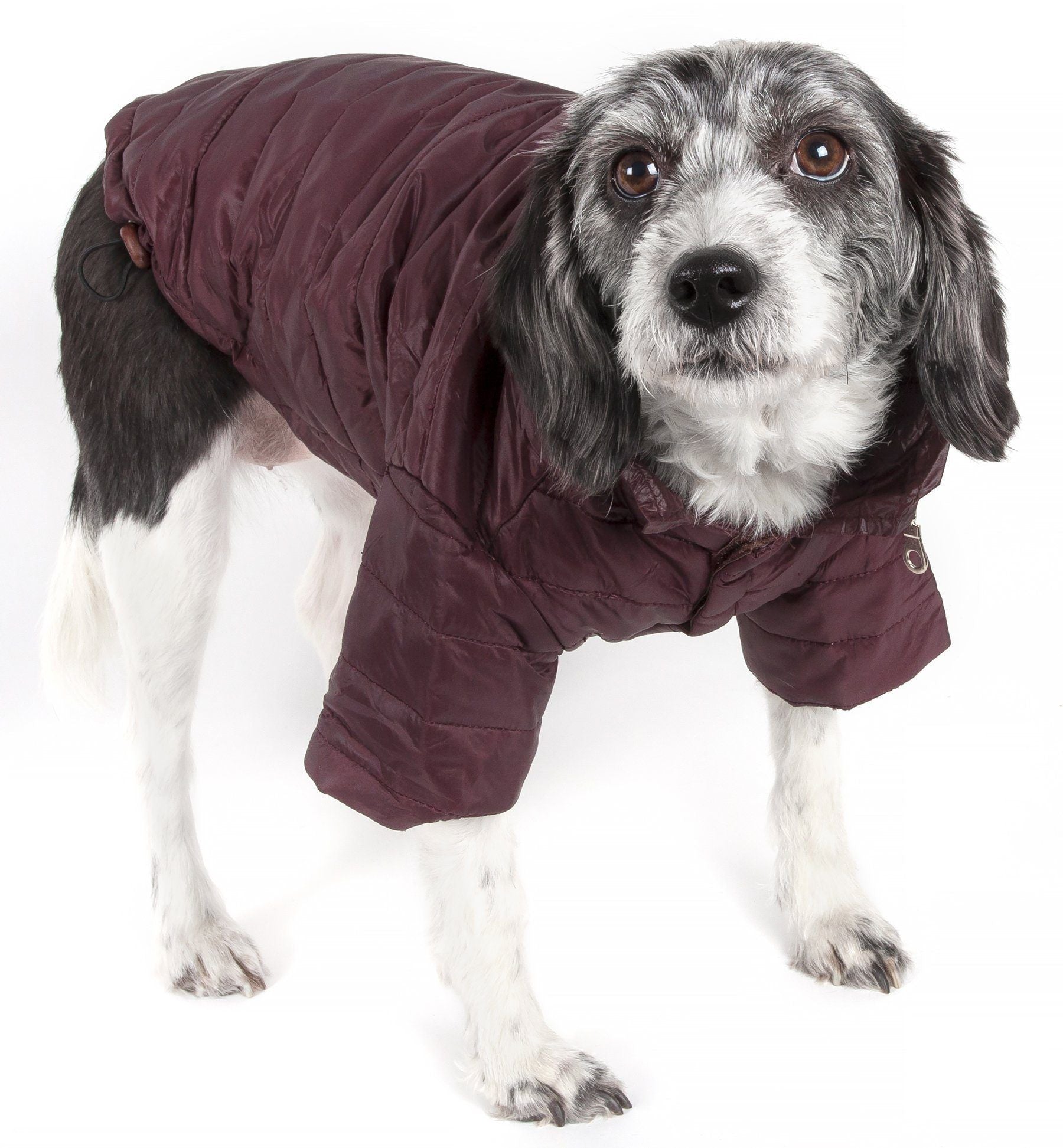 Sporty Avalanche Dog Coat with Thinsulate Thermal Layer