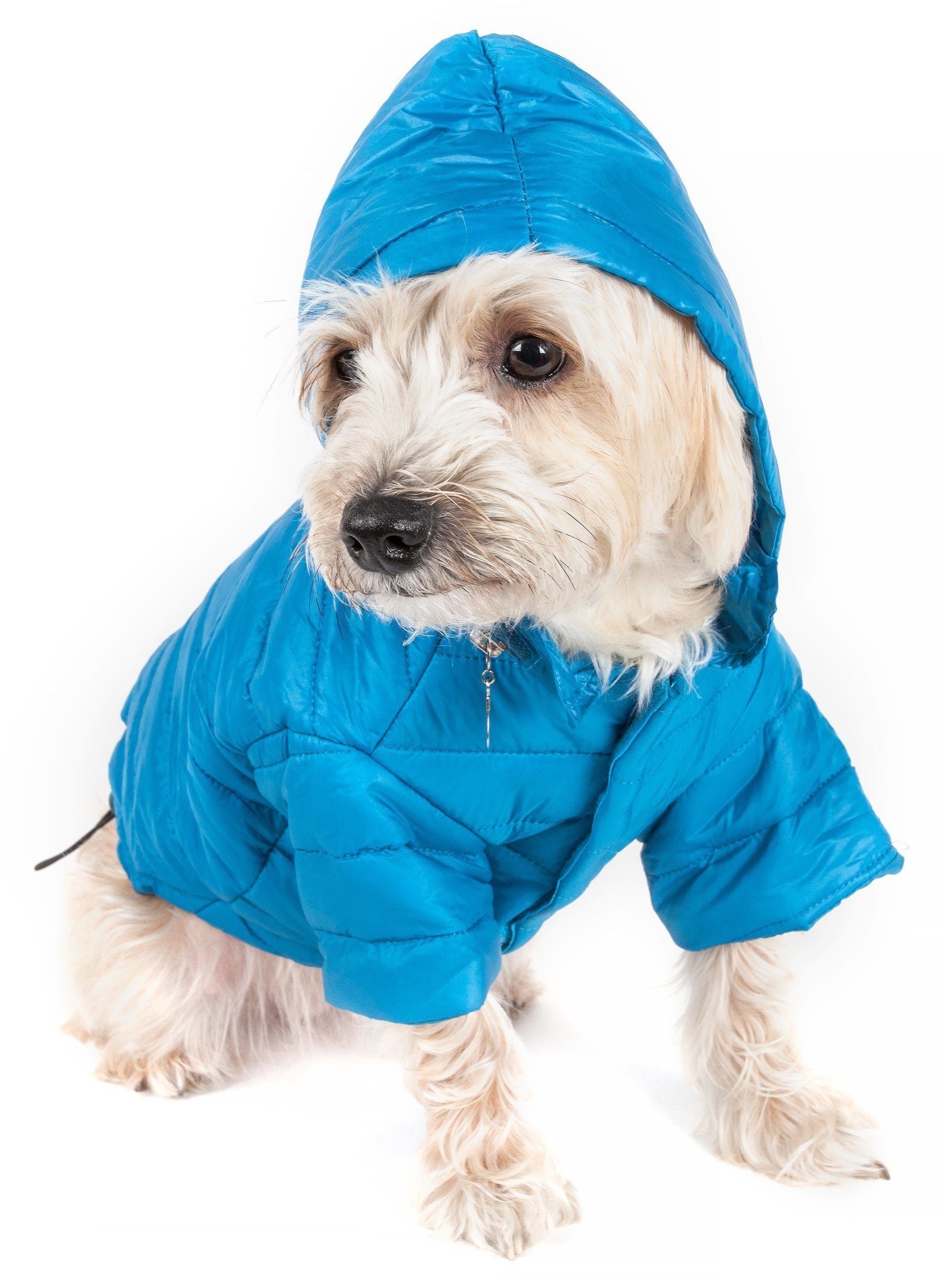 Sporty Avalanche Dog Coat with Thinsulate Thermal Layer