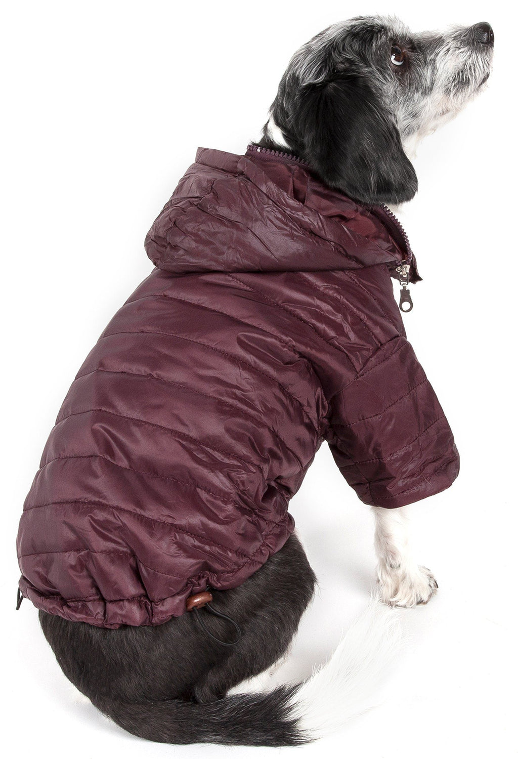 Sporty Avalanche Dog Coat with Thinsulate Thermal Layer