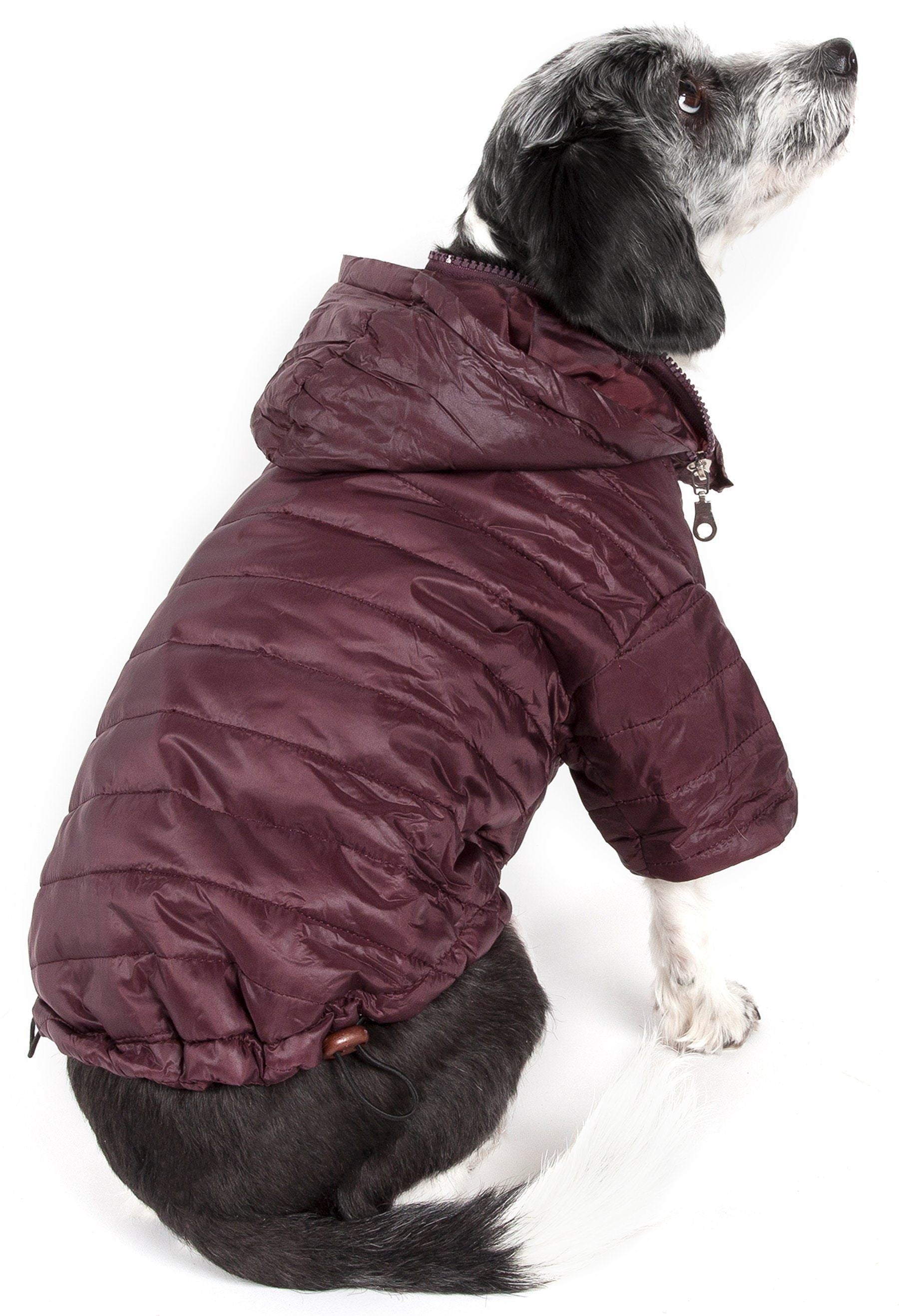 Sporty Avalanche Dog Coat with Thinsulate Thermal Layer