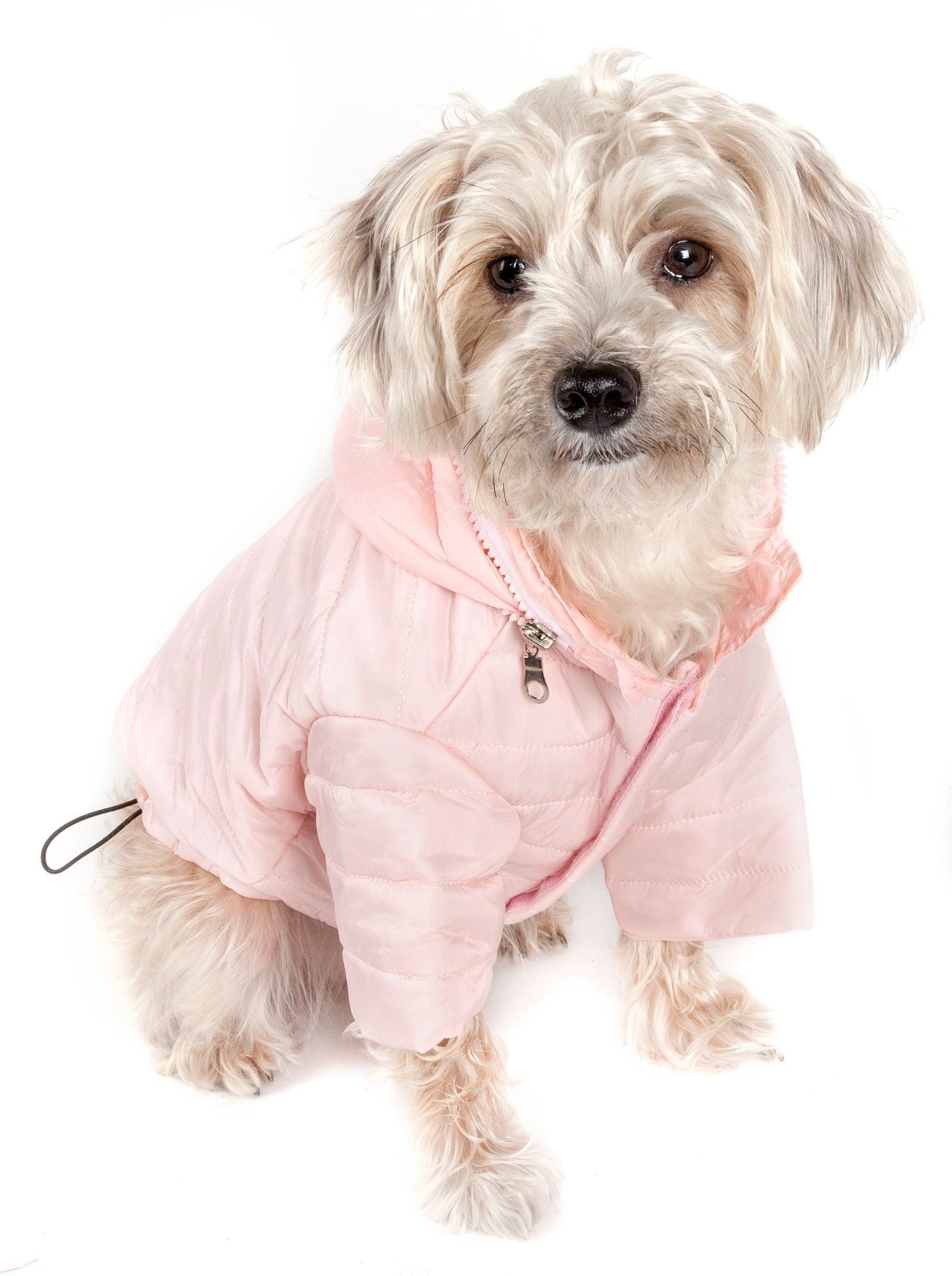 Sporty Avalanche Dog Coat with Thinsulate Thermal Layer