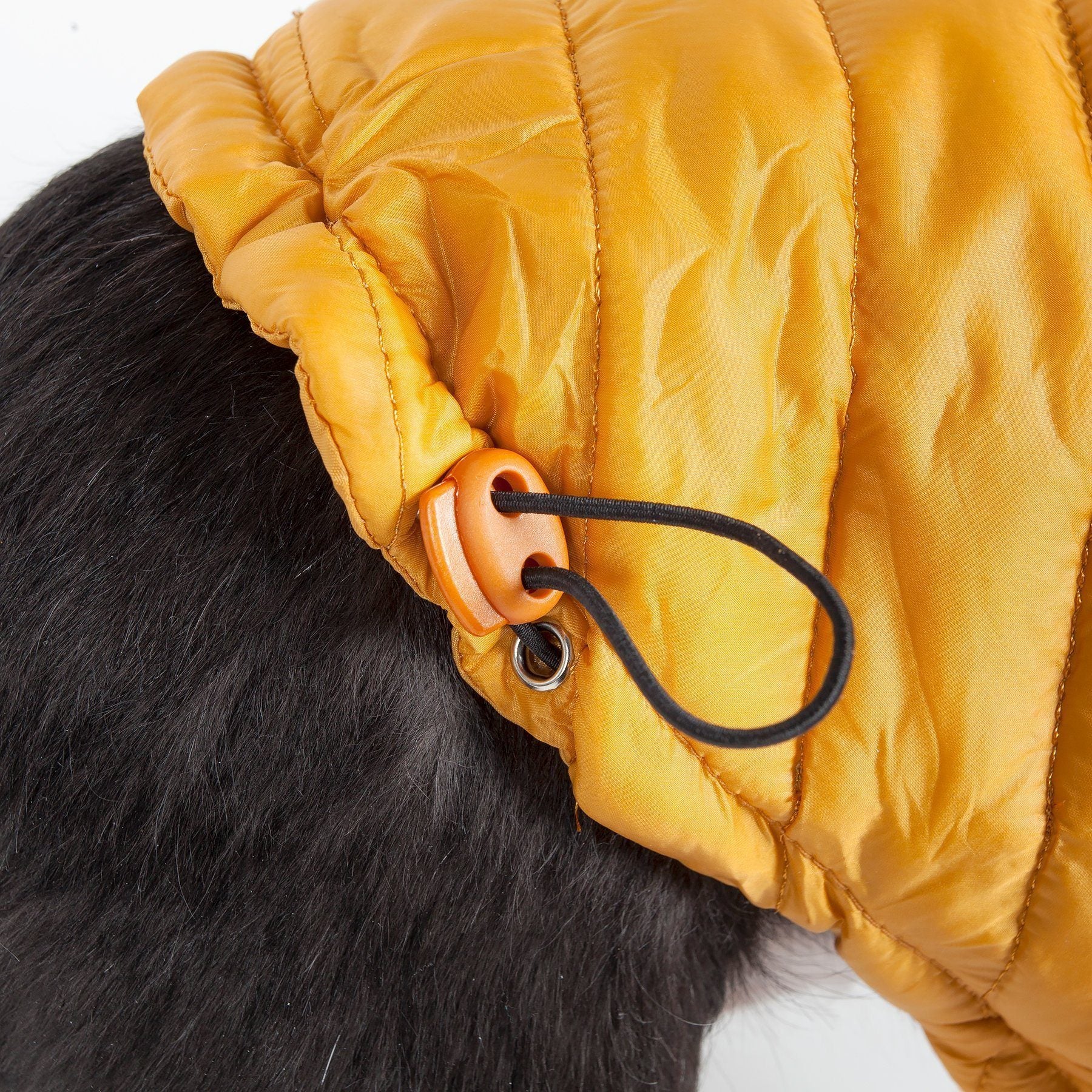 Sporty Avalanche Dog Coat with Thinsulate Thermal Layer