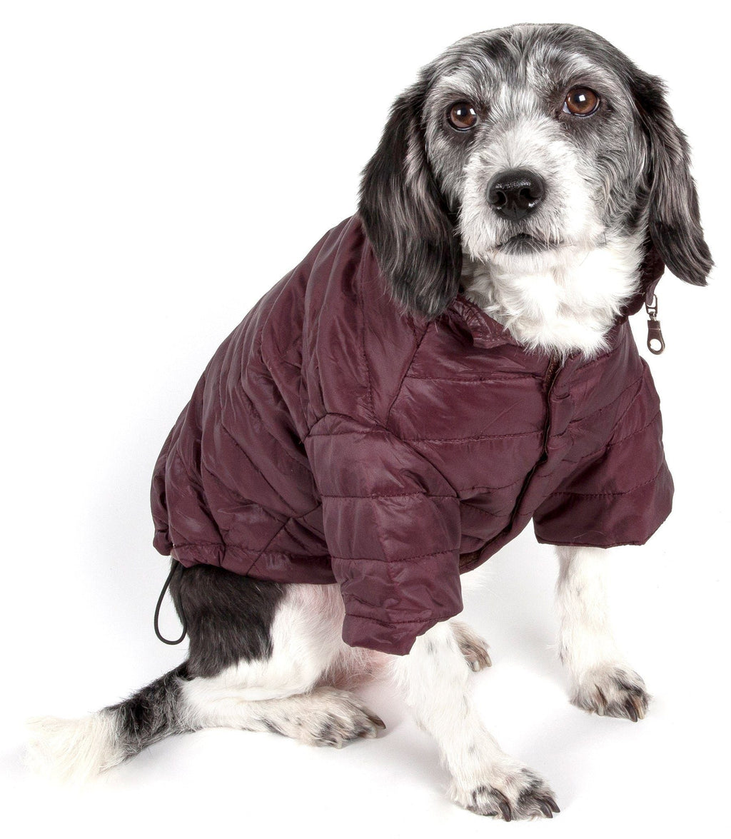 Sporty Avalanche Dog Coat with Thinsulate Thermal Layer