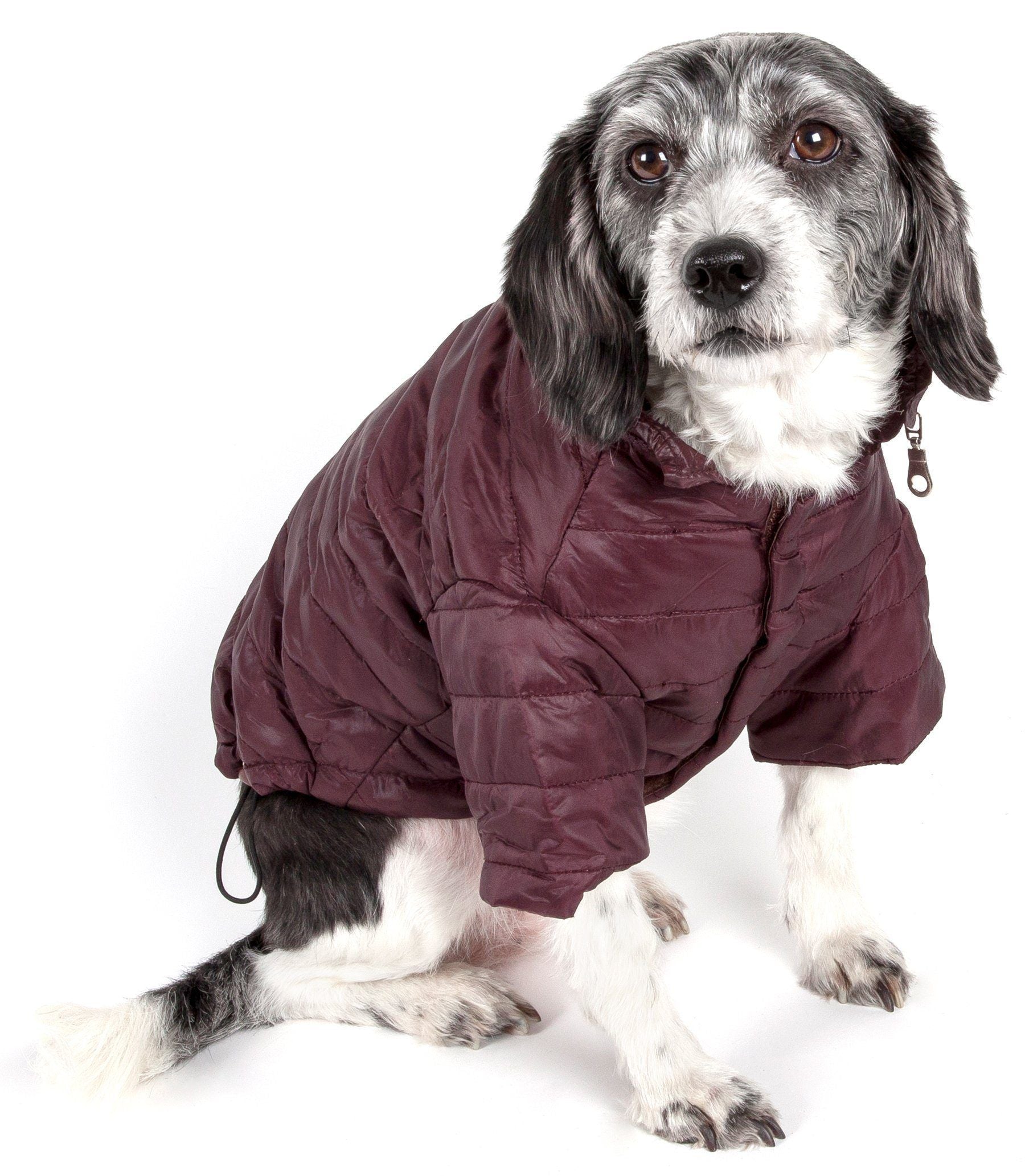 Sporty Avalanche Dog Coat with Thinsulate Thermal Layer