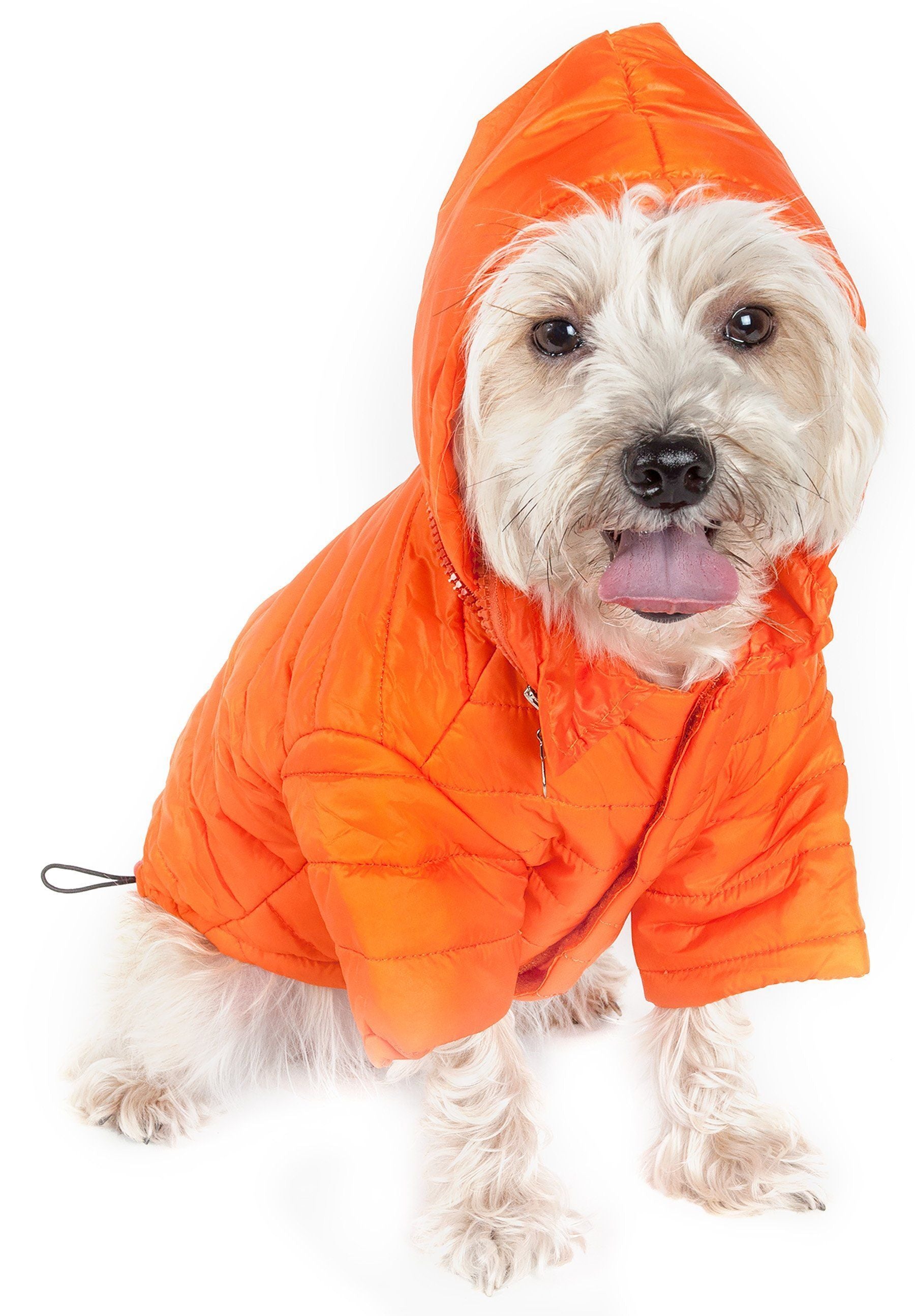 Sporty Avalanche Dog Coat with Thinsulate Thermal Layer