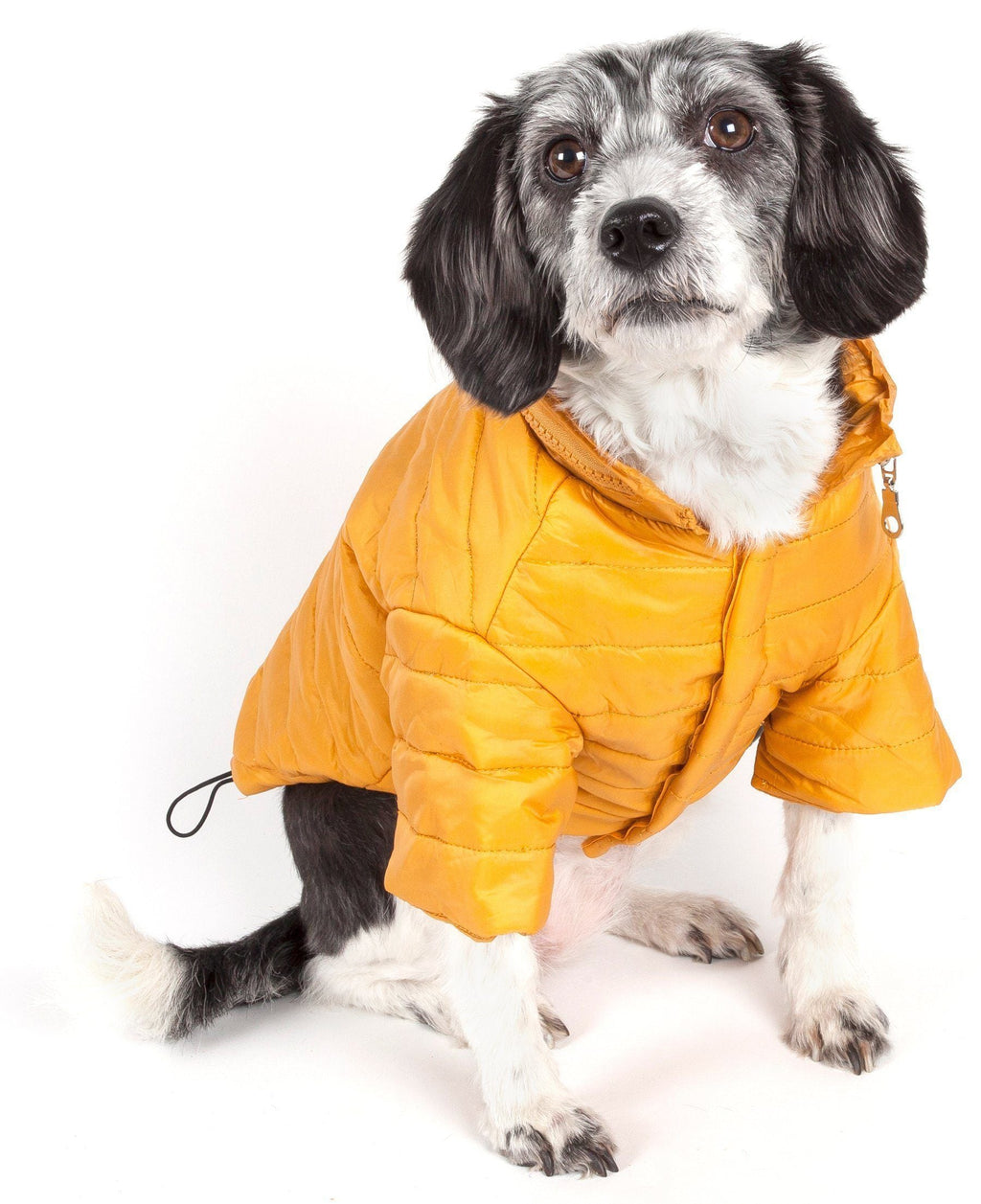Sporty Avalanche Dog Coat with Thinsulate Thermal Layer