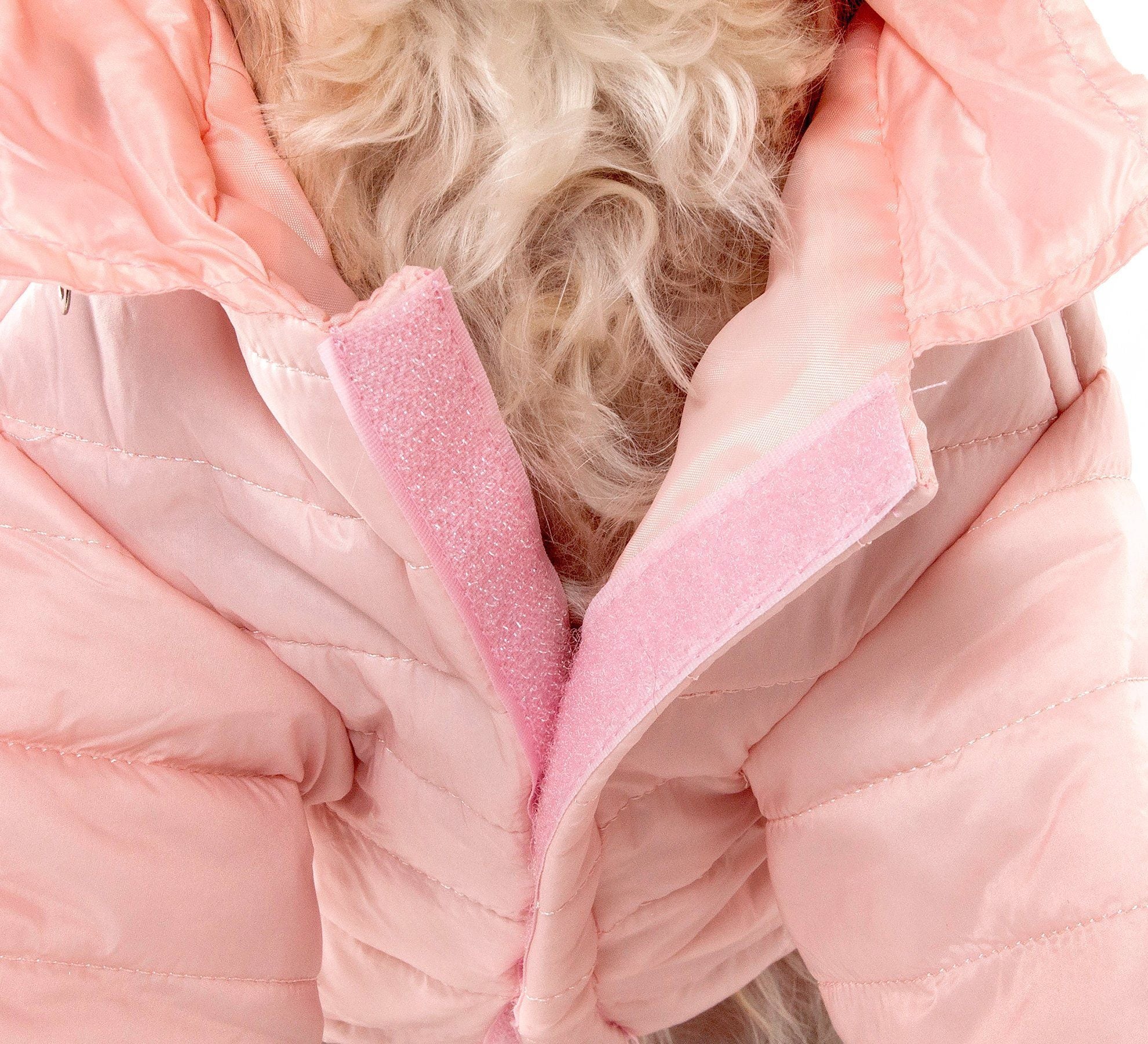 Sporty Avalanche Dog Coat with Thinsulate Thermal Layer