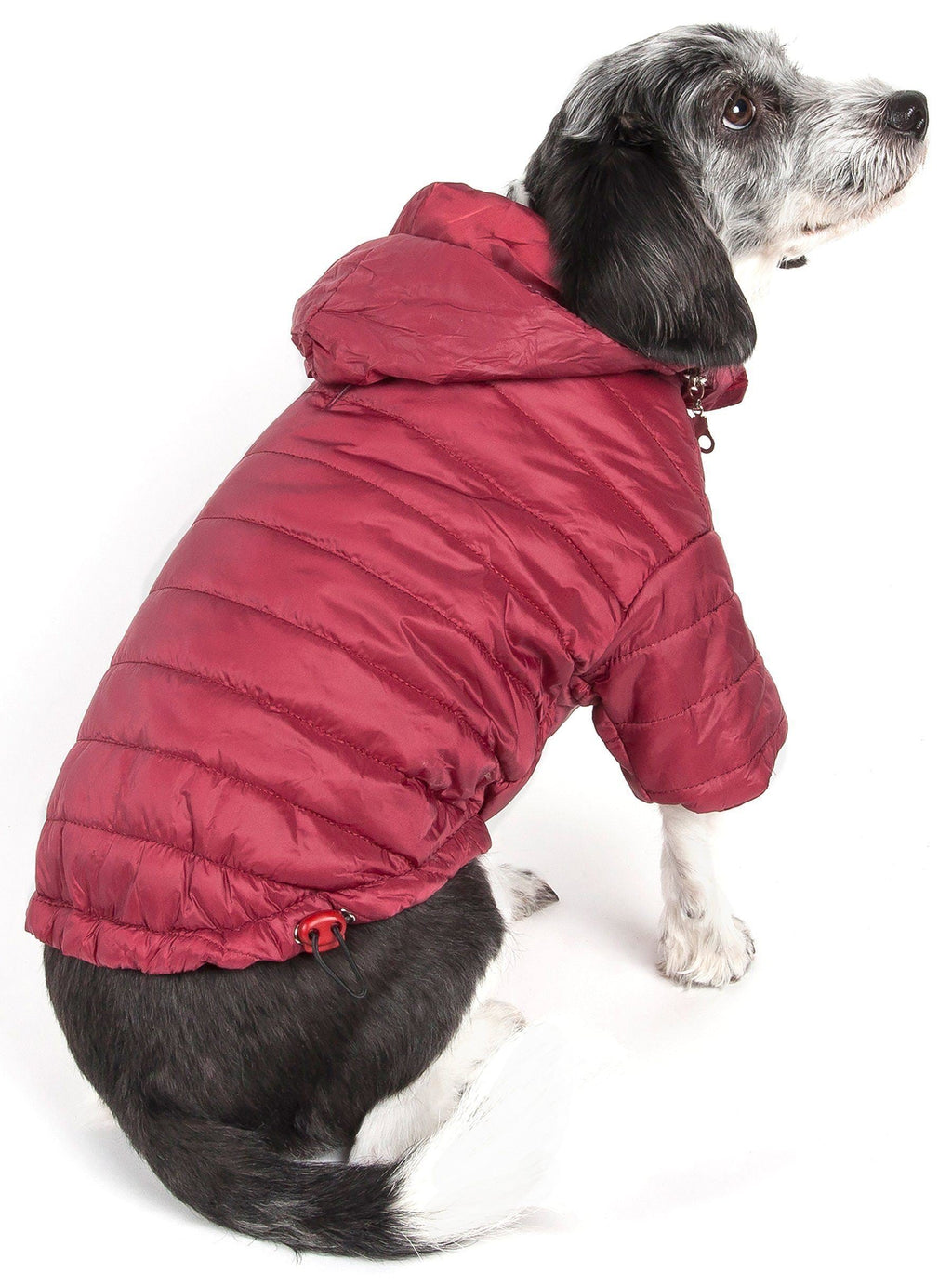 Sporty Avalanche Dog Coat with Thinsulate Thermal Layer