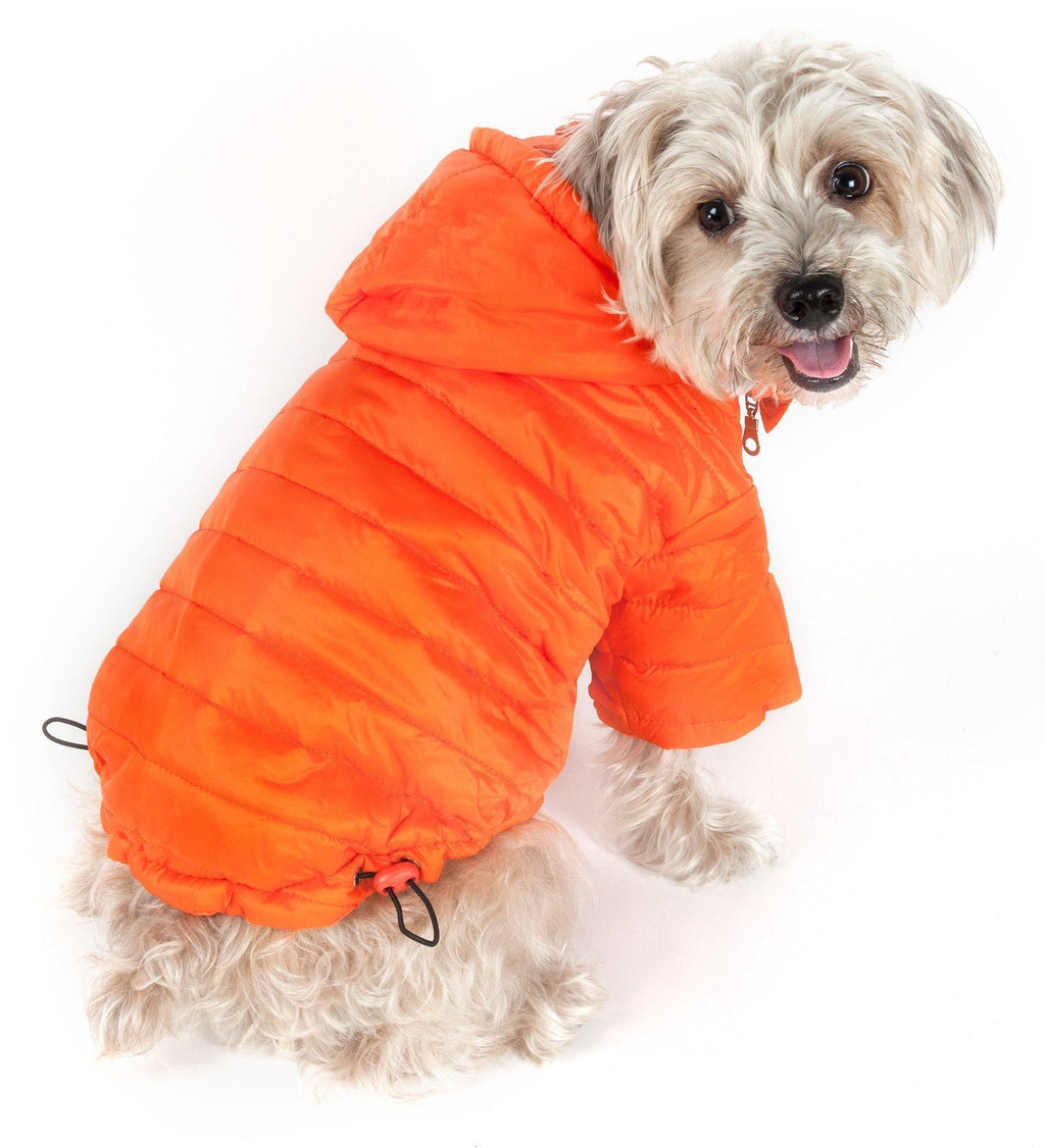 Sporty Avalanche Dog Coat with Thinsulate Thermal Layer