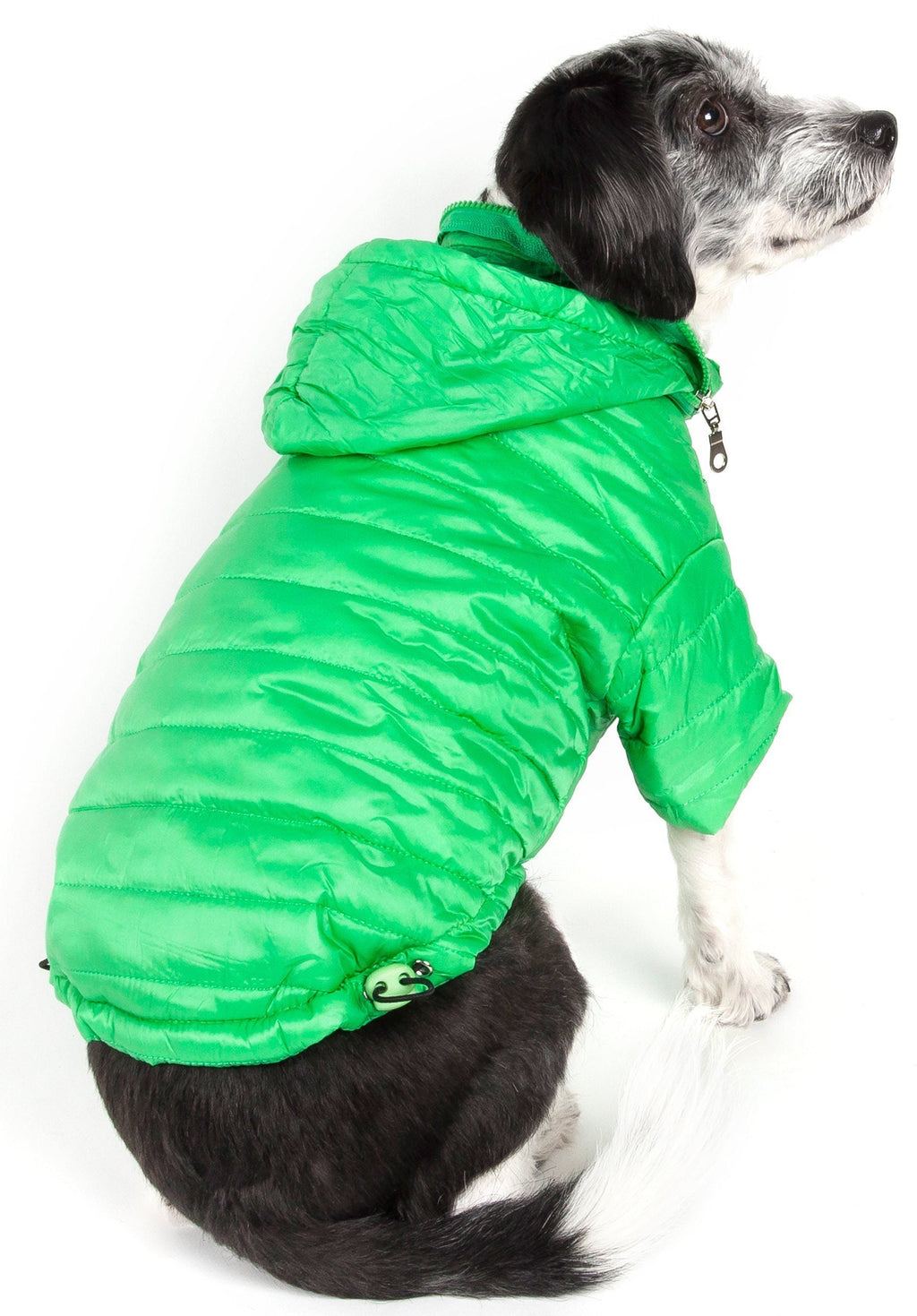 Sporty Avalanche Dog Coat with Thinsulate Thermal Layer