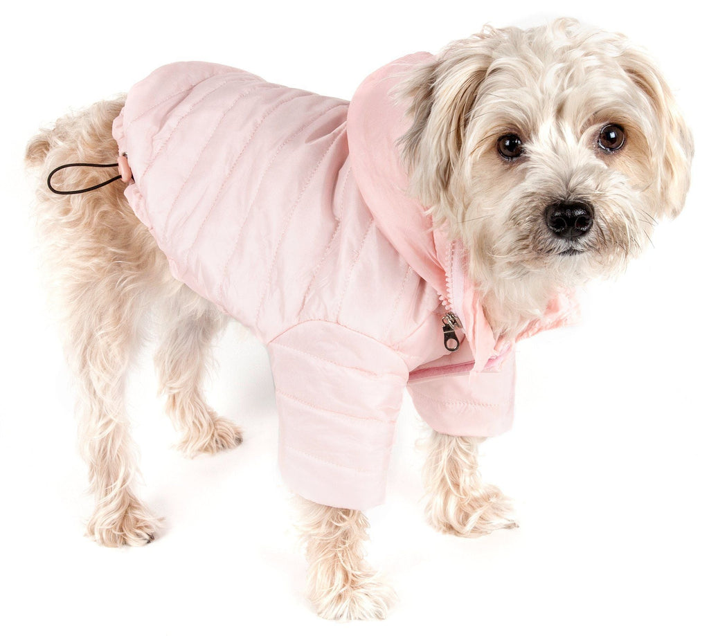 Sporty Avalanche Dog Coat with Thinsulate Thermal Layer