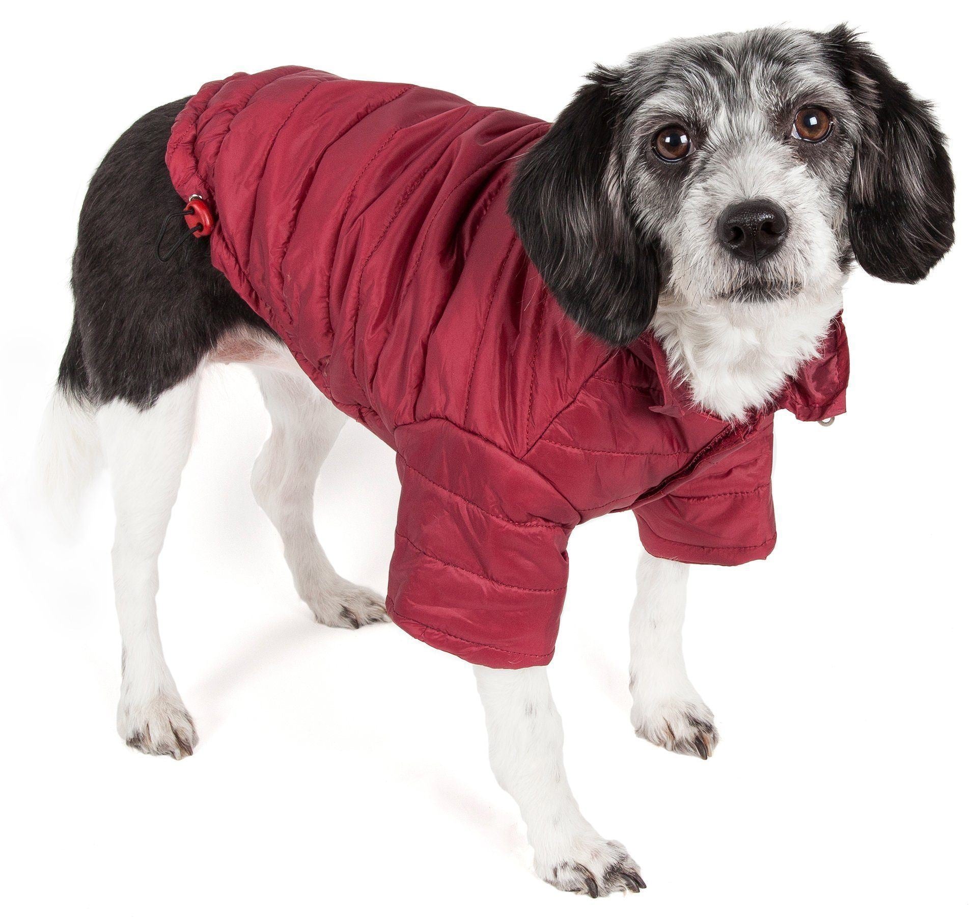 Sporty Avalanche Dog Coat with Thinsulate Thermal Layer