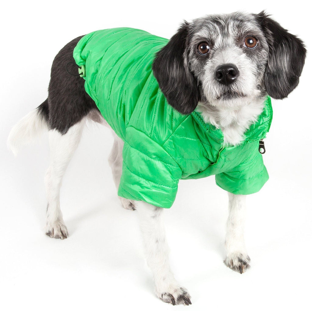 Sporty Avalanche Dog Coat with Thinsulate Thermal Layer
