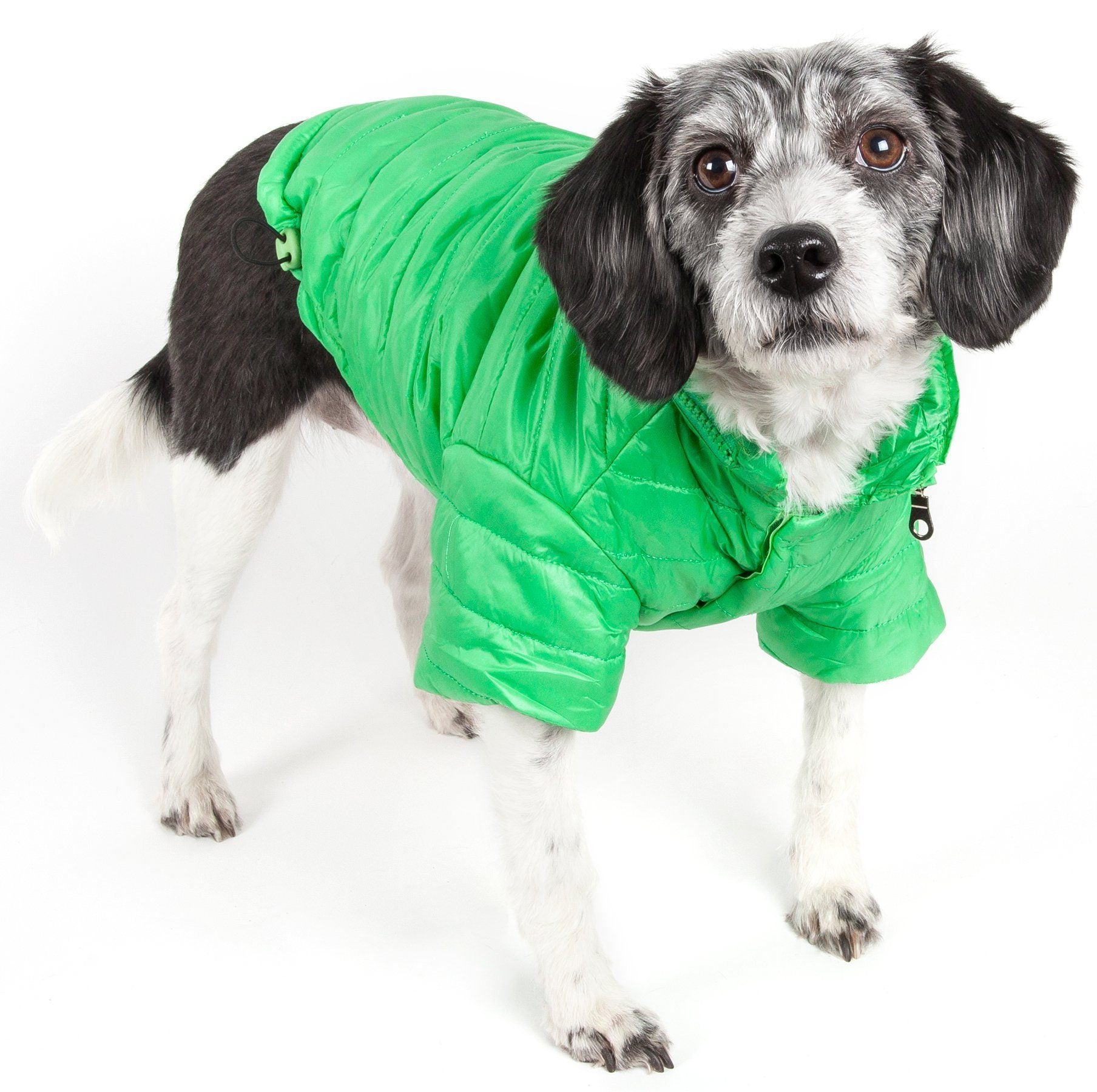 Sporty Avalanche Dog Coat with Thinsulate Thermal Layer