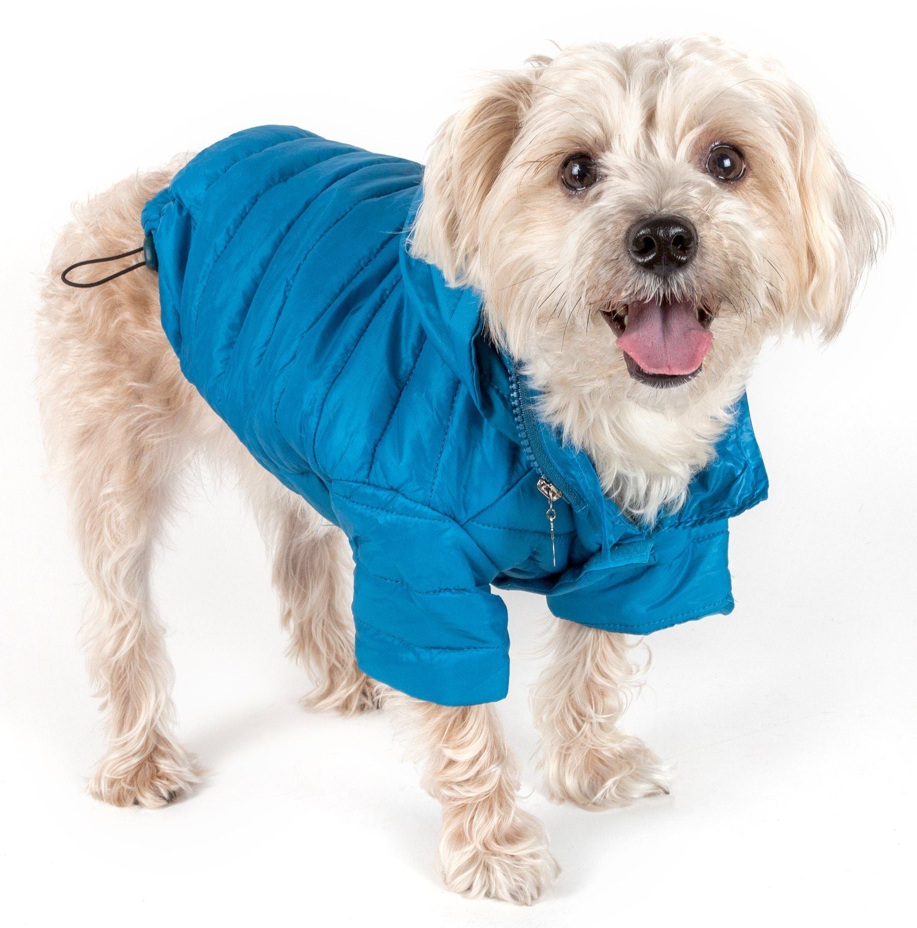 Sporty Avalanche Dog Coat with Thinsulate Thermal Layer