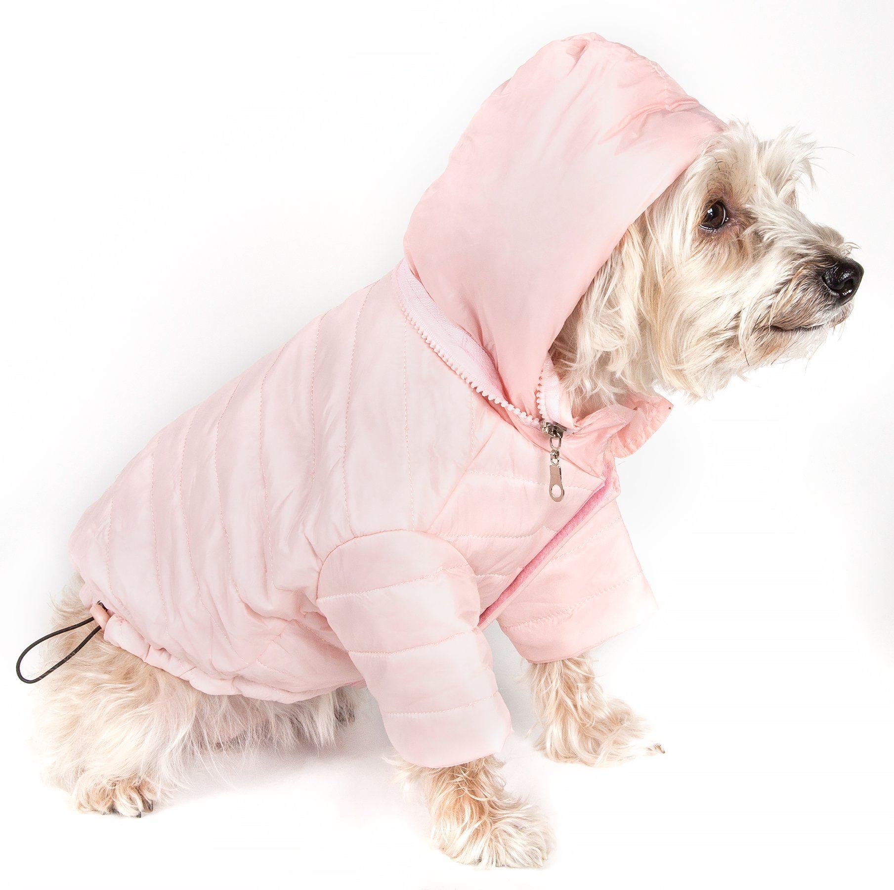 Sporty Avalanche Dog Coat with Thinsulate Thermal Layer