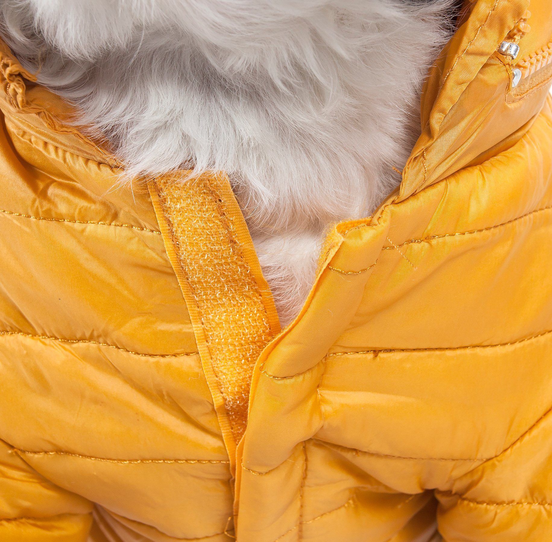 Sporty Avalanche Dog Coat with Thinsulate Thermal Layer