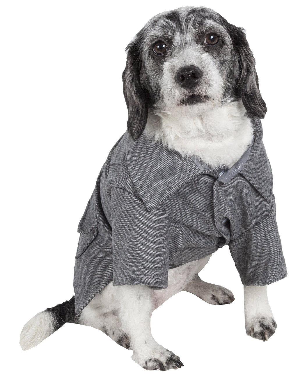 Dog Wool Coat with Rivet Accents and Back Pockets