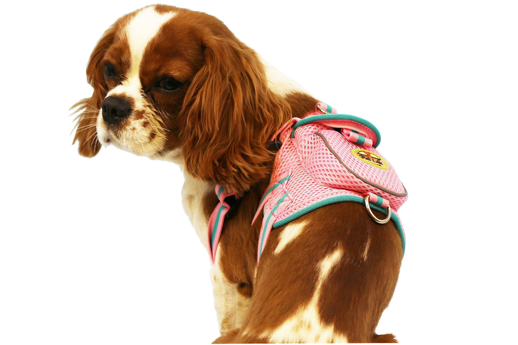 Mesh Pet Harness With Pouch – Adjustable, Breathable Design