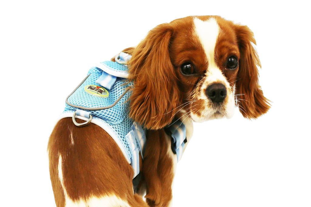 Mesh Pet Harness With Pouch – Adjustable, Breathable Design