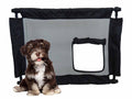 Collapsible Adjustable Pet Gate for Small Dogs and Cats, Mesh Door