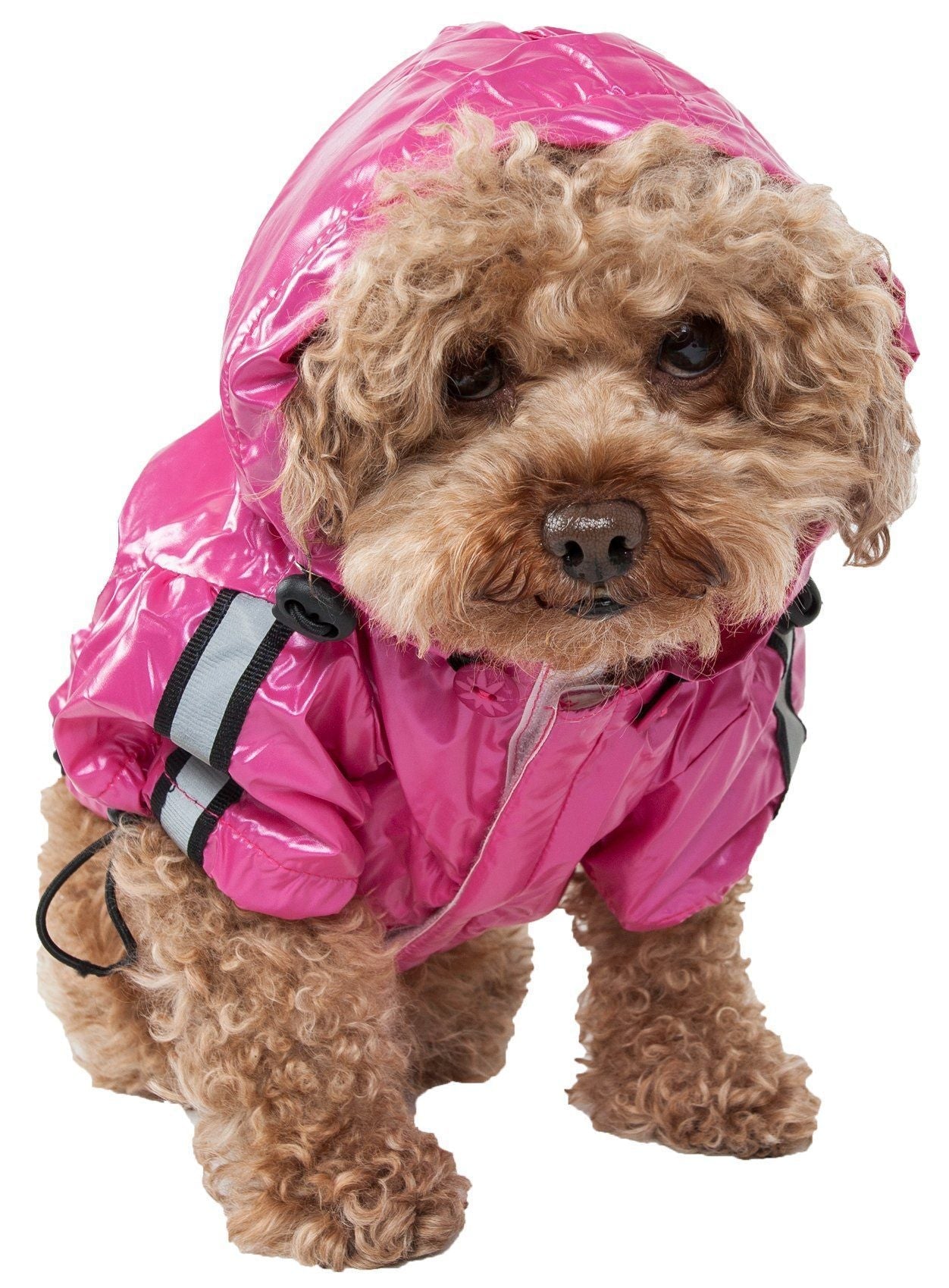 Dog Raincoat Jacket with Removable Hood and Reflective Strip