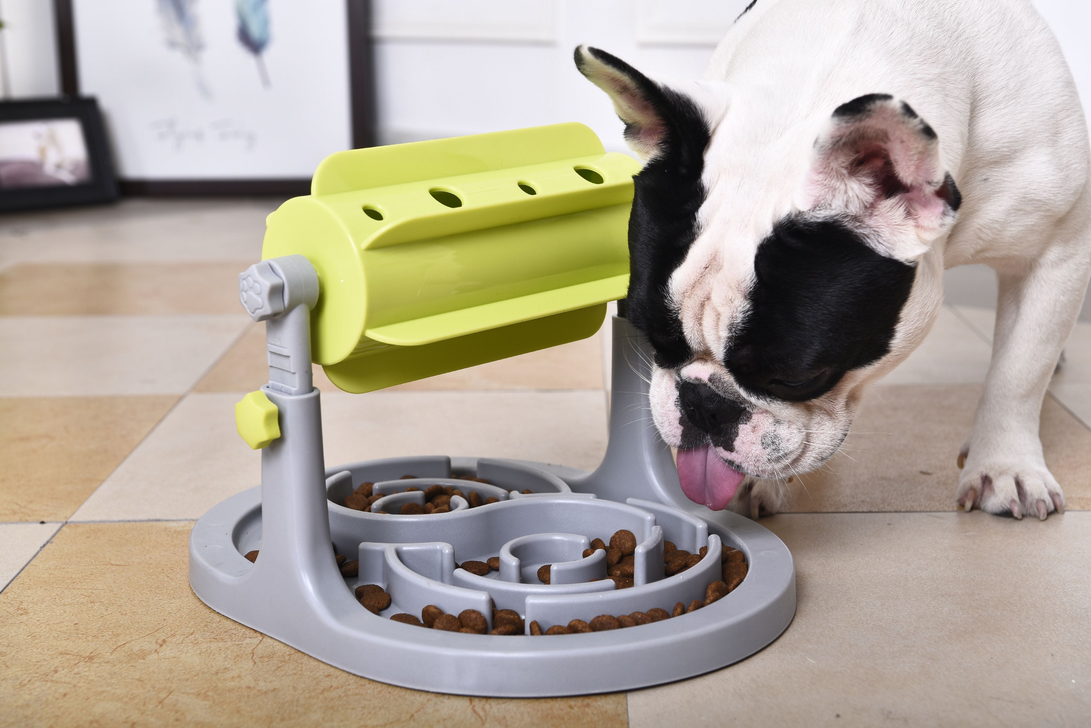 Roto Paw IQ Training Interactive Rotating Slow Dog Feeder