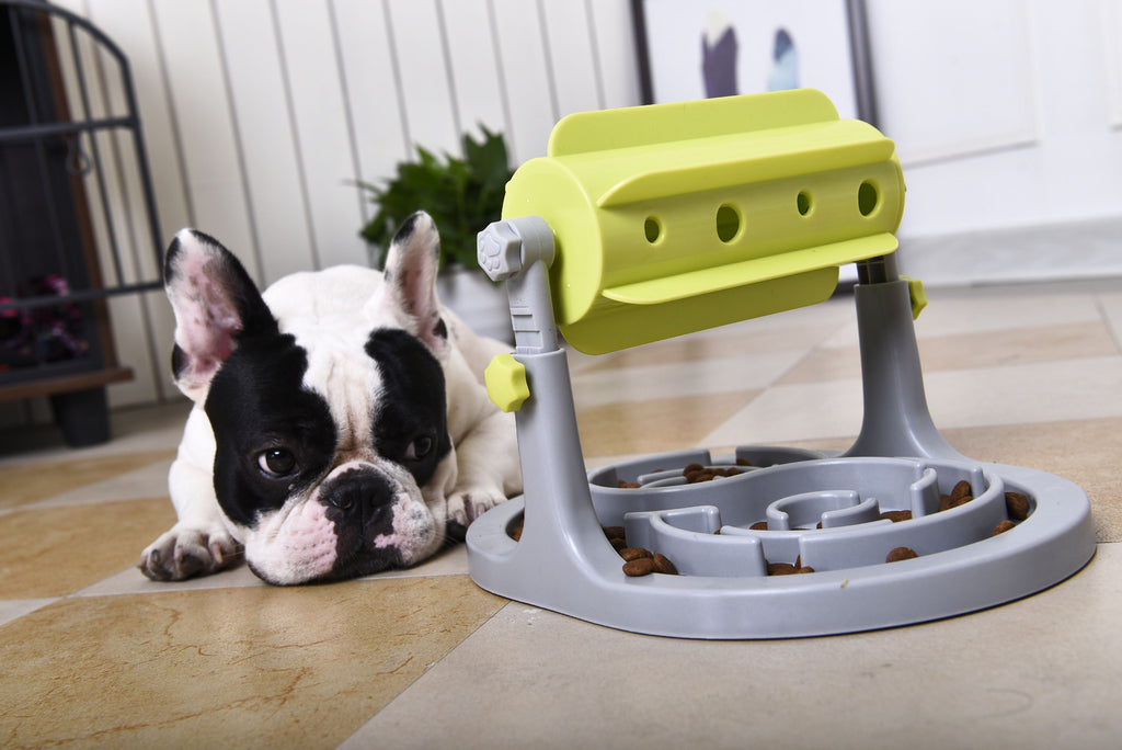 Roto Paw IQ Training Interactive Rotating Slow Dog Feeder