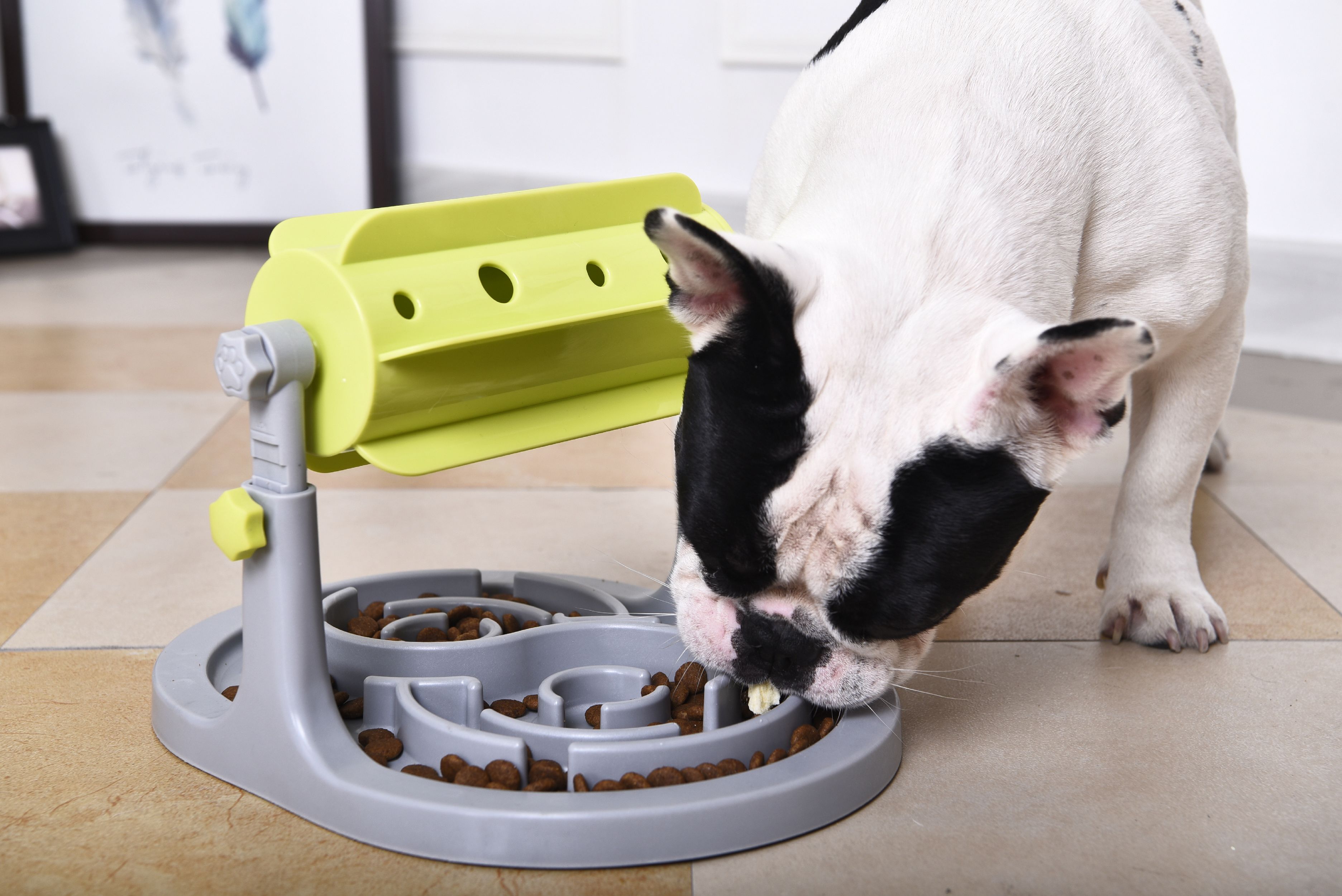 Roto Paw IQ Training Interactive Rotating Slow Dog Feeder