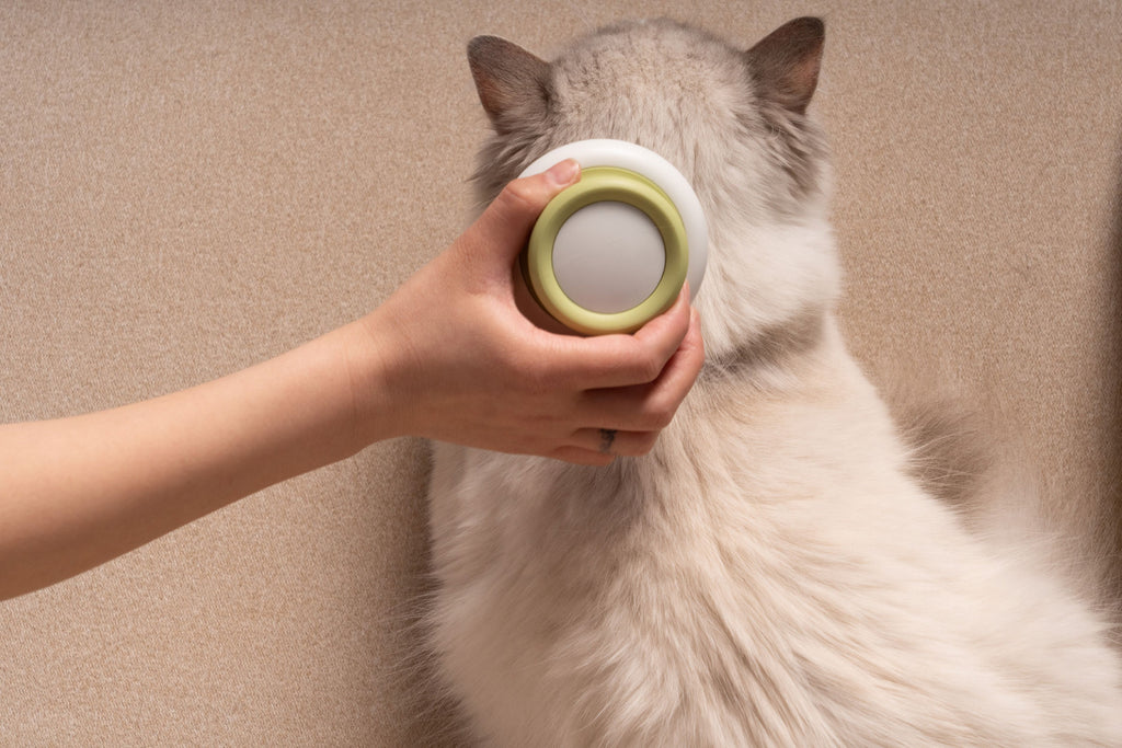 Handheld Pet Grooming Comb with Soft Flexible Bristles