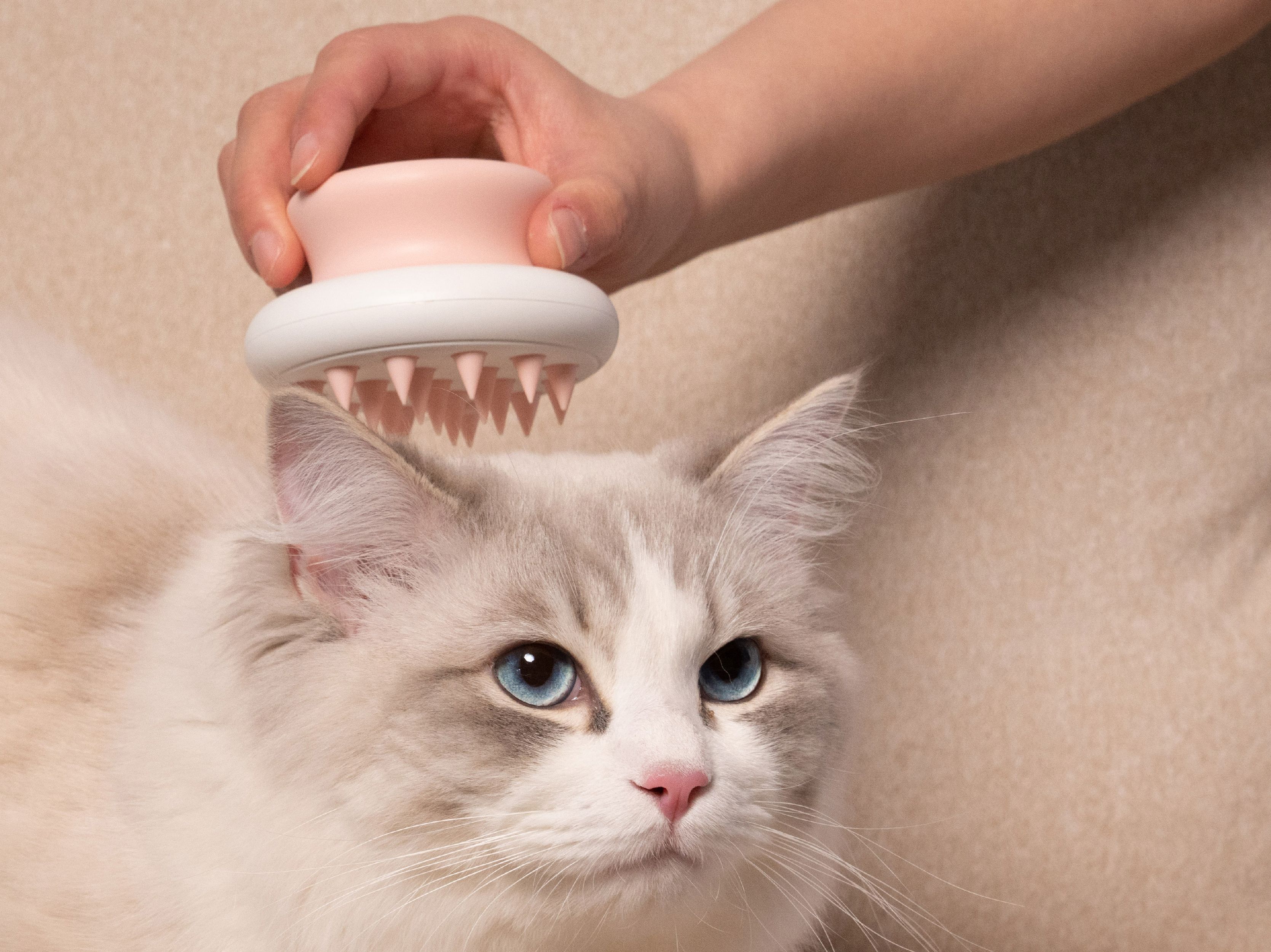 Handheld Pet Grooming Comb with Soft Flexible Bristles