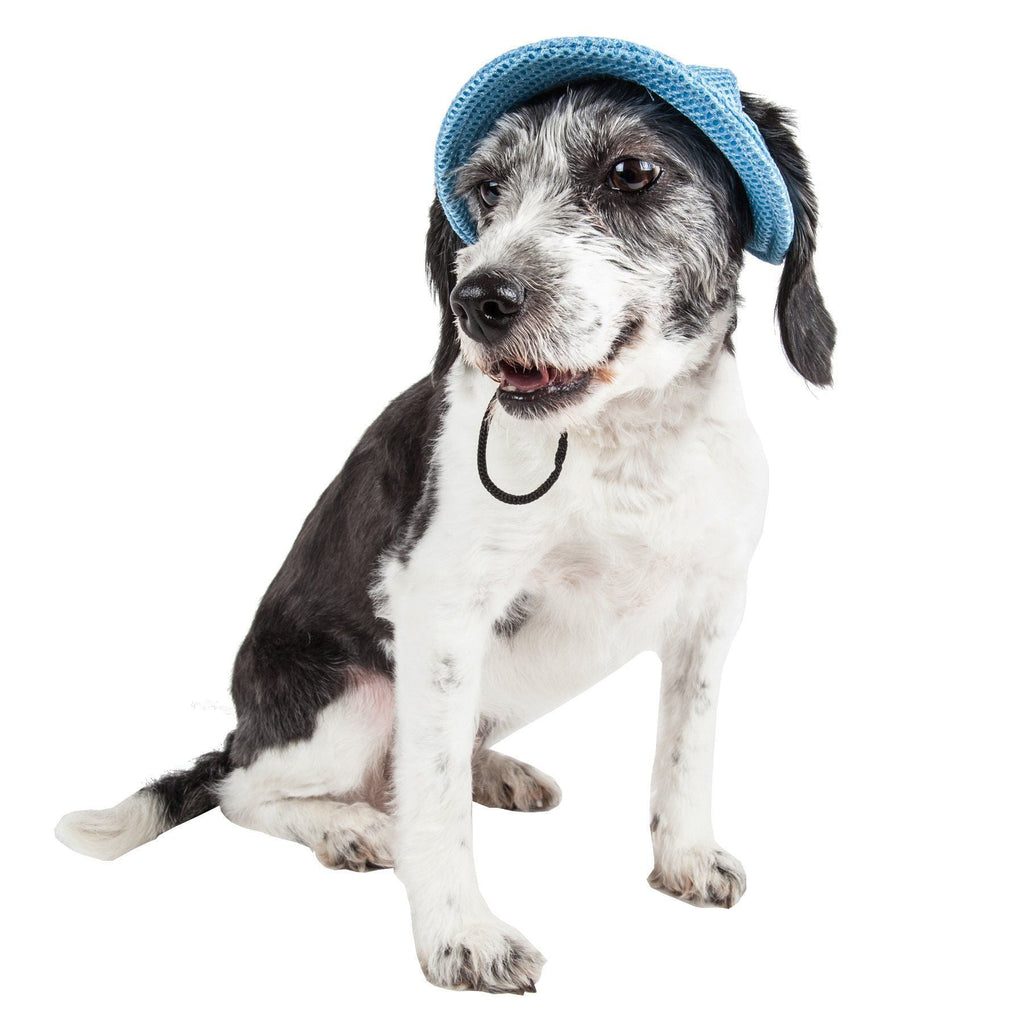 Sea Spot Mesh Brimmed Dog Hat with UV Protection