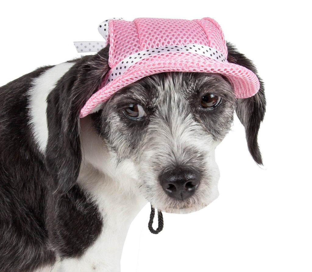 Sea Spot Mesh Brimmed Dog Hat with UV Protection