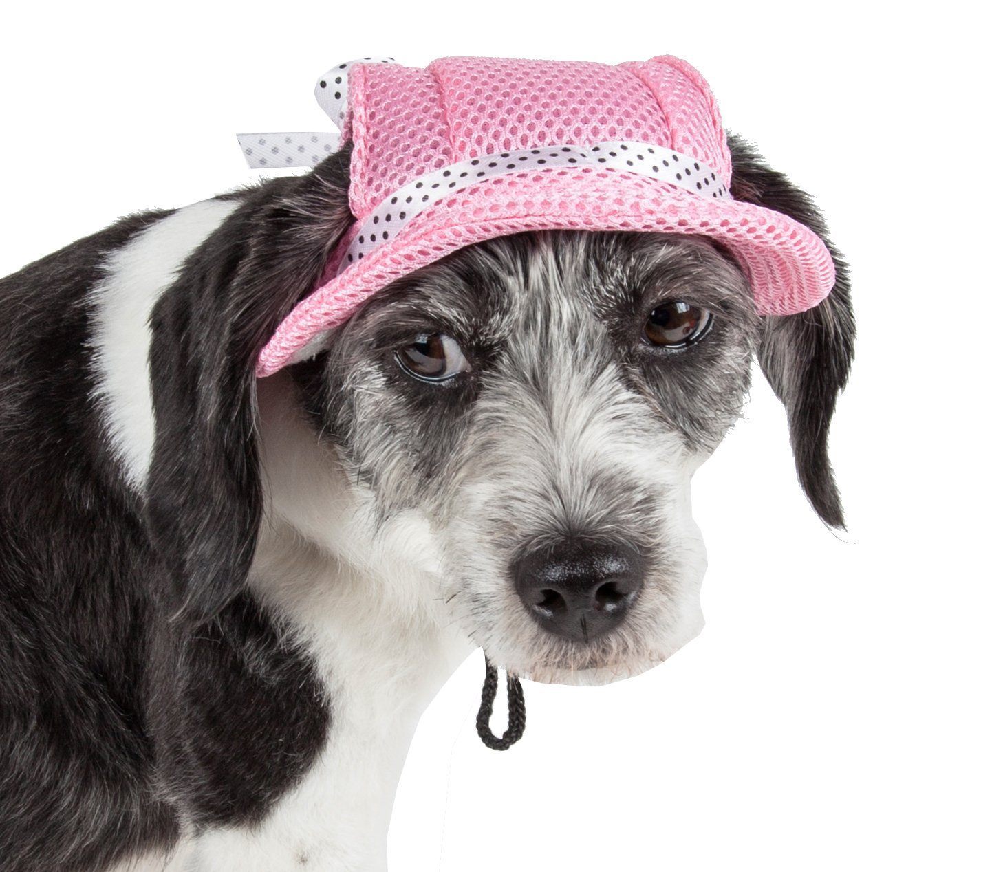 Sea Spot Mesh Brimmed Dog Hat with UV Protection