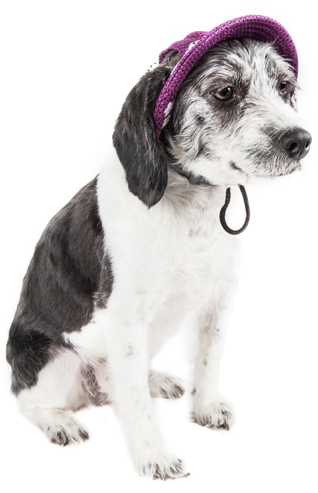 Sea Spot Mesh Brimmed Dog Hat with UV Protection