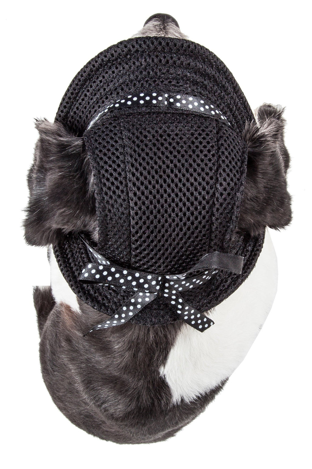 Sea Spot Mesh Brimmed Dog Hat with UV Protection