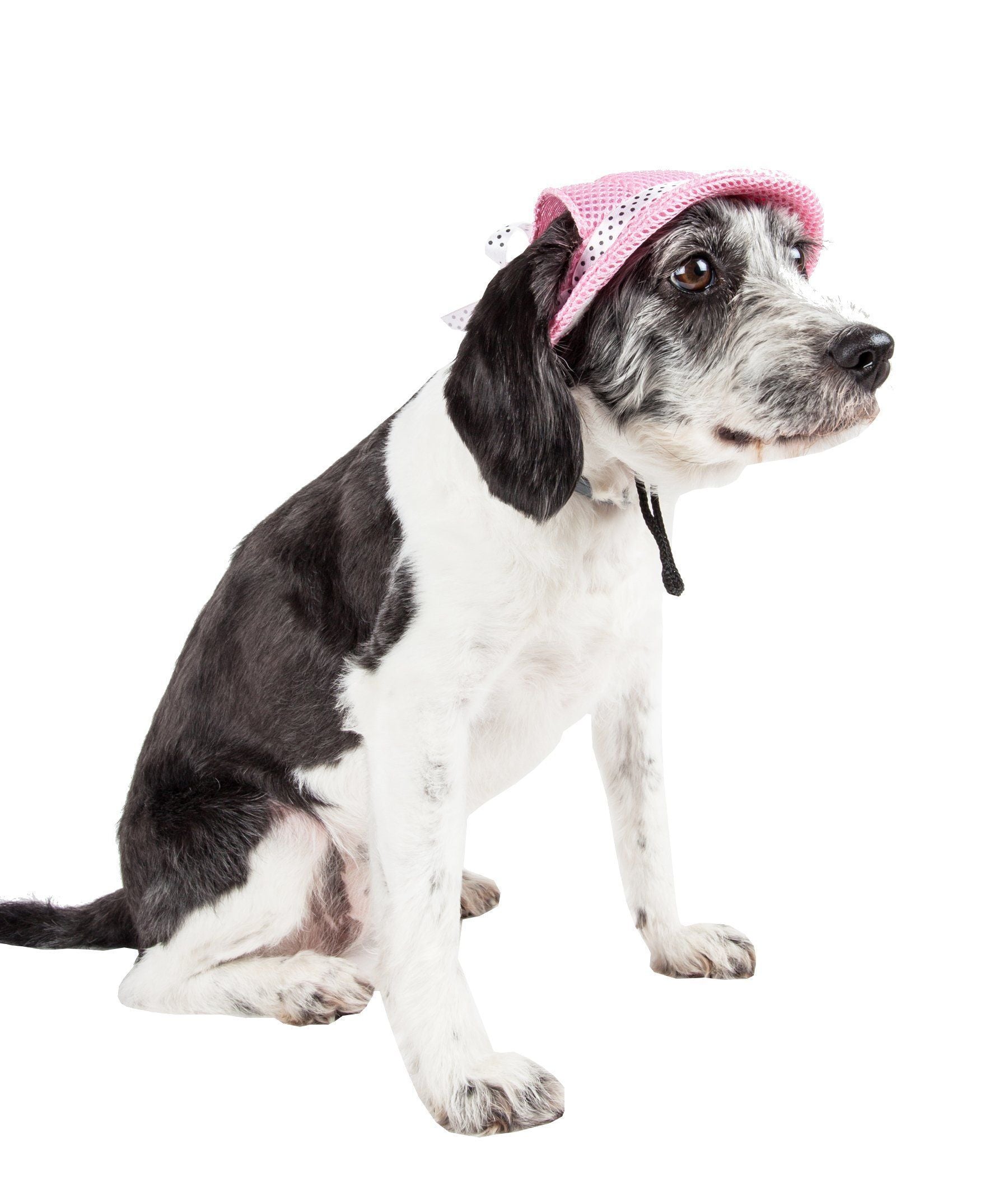 Sea Spot Mesh Brimmed Dog Hat with UV Protection