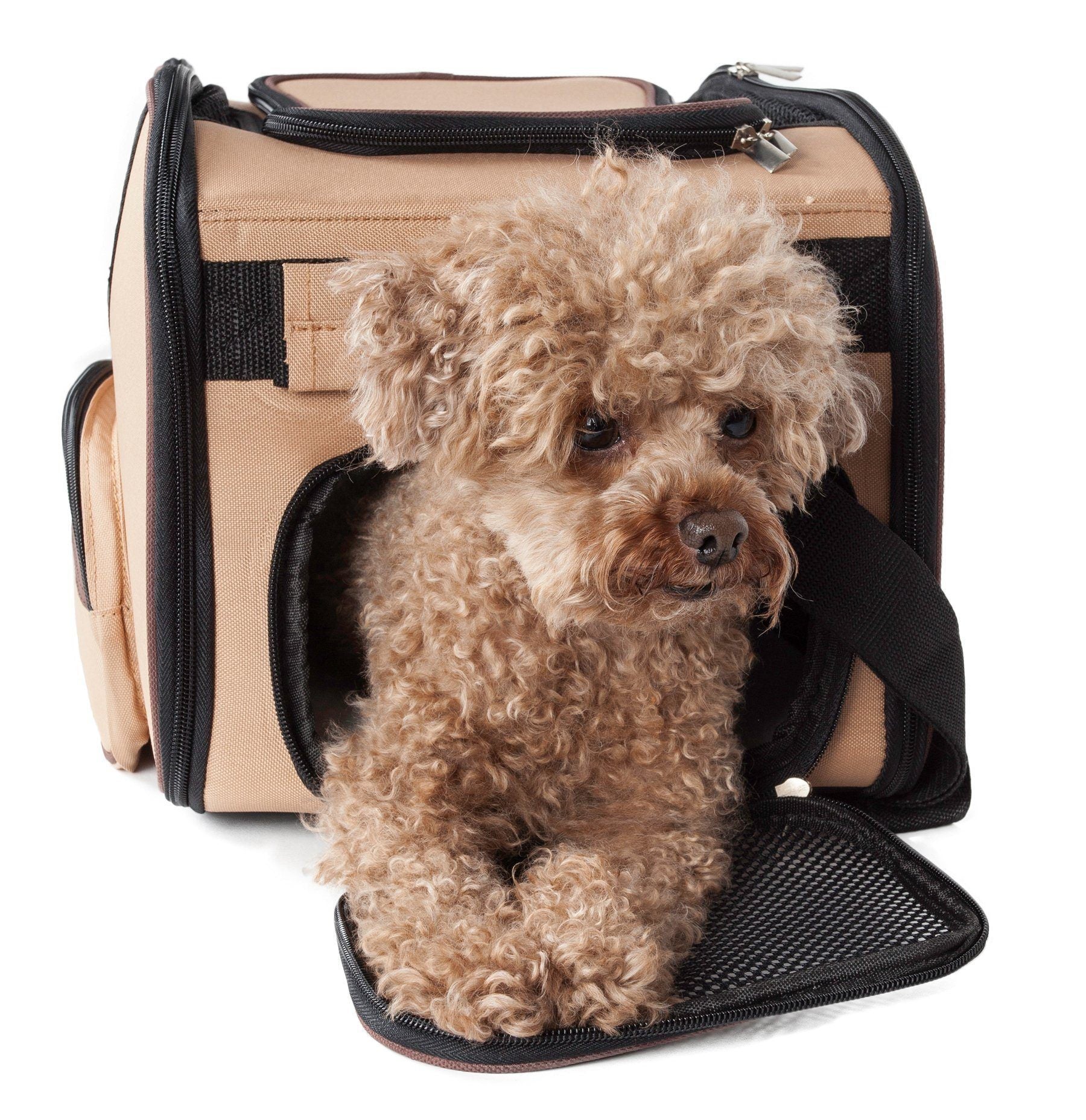 Sky-Max Collapsible Airline Approved Travel Pet Carrier, 16.1" x 9.5" x 10"