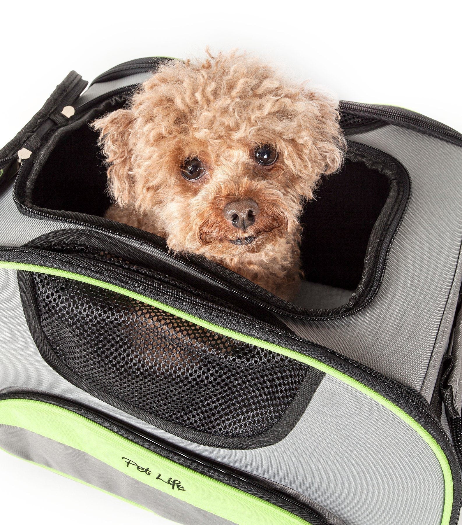 Sky-Max Collapsible Airline Approved Travel Pet Carrier, 16.1" x 9.5" x 10"