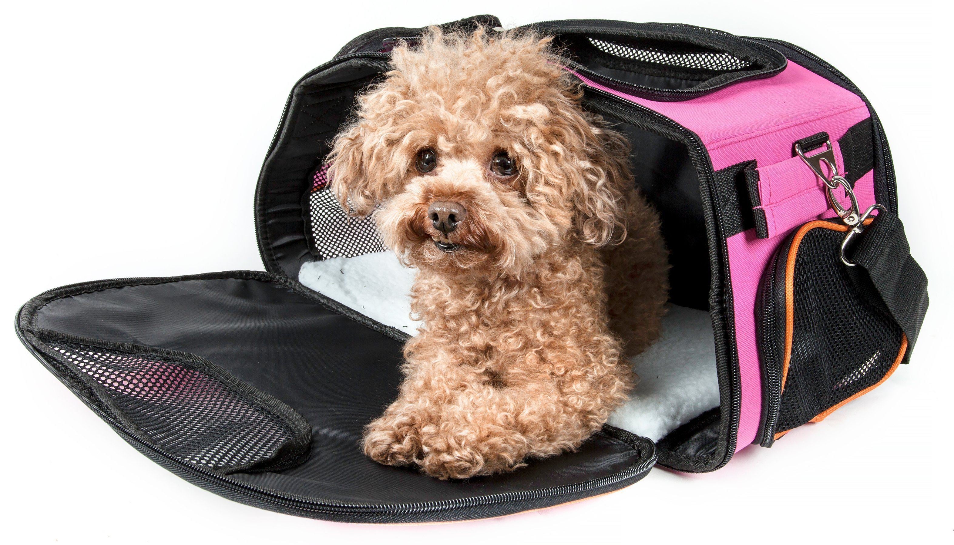 Sky-Max Collapsible Airline Approved Travel Pet Carrier, 16.1" x 9.5" x 10"
