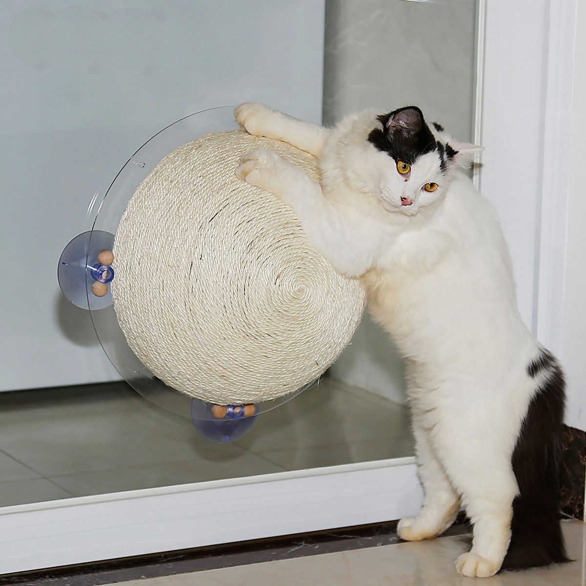 Circular Sisal Rope Cat Scratcher with Suction Cups and Wall Mount