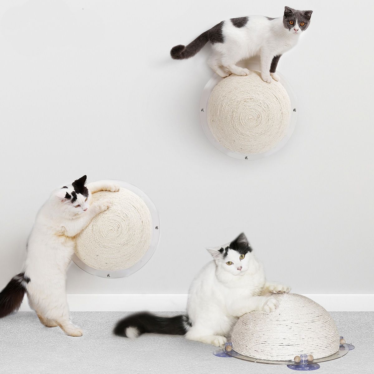 Circular Sisal Rope Cat Scratcher with Suction Cups and Wall Mount