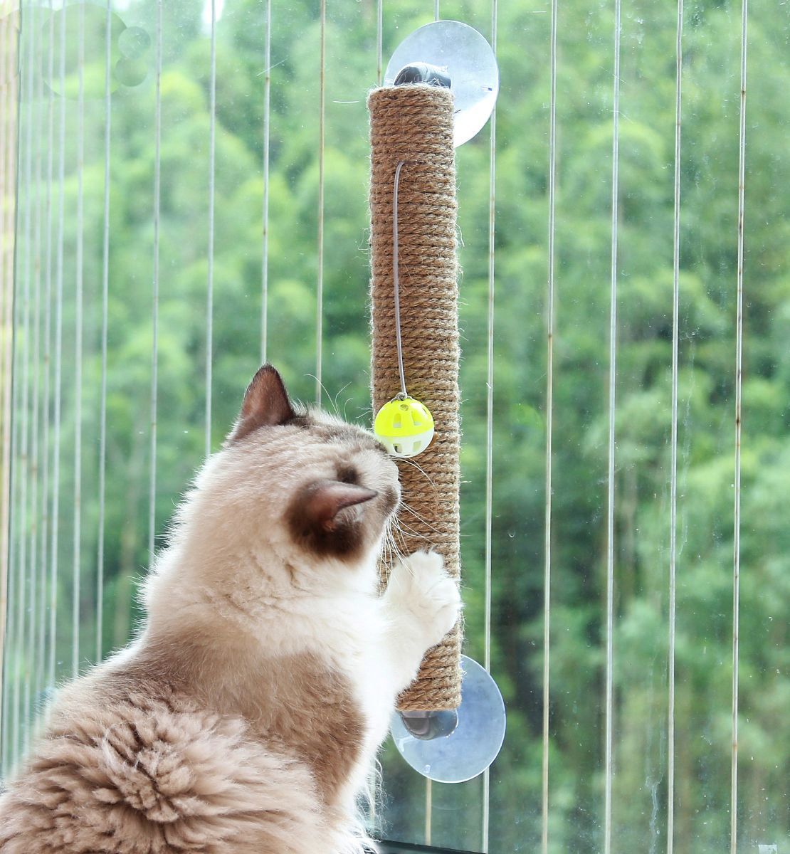 Stick N' Claw Sisal Rope Suction Cup Cat Scratcher with Toy