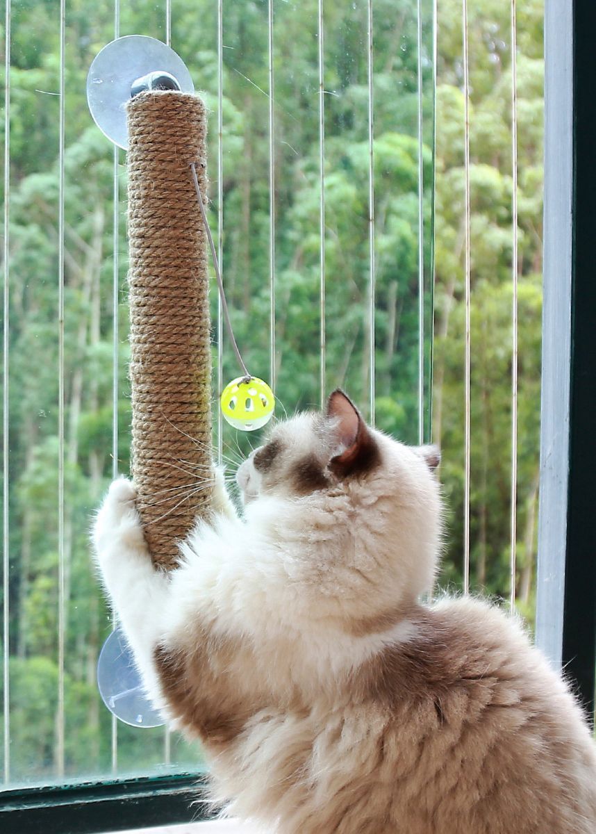 Stick N' Claw Sisal Rope Suction Cup Cat Scratcher with Toy