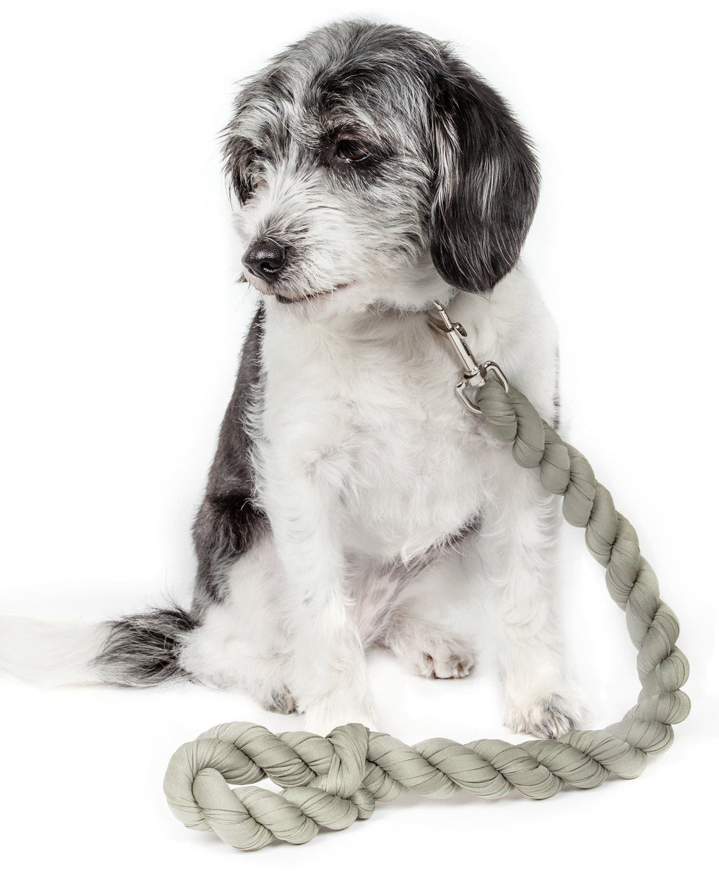 Tough-Tugger Shock Absorbing Dog Leash, 48" Nylon-Polyester