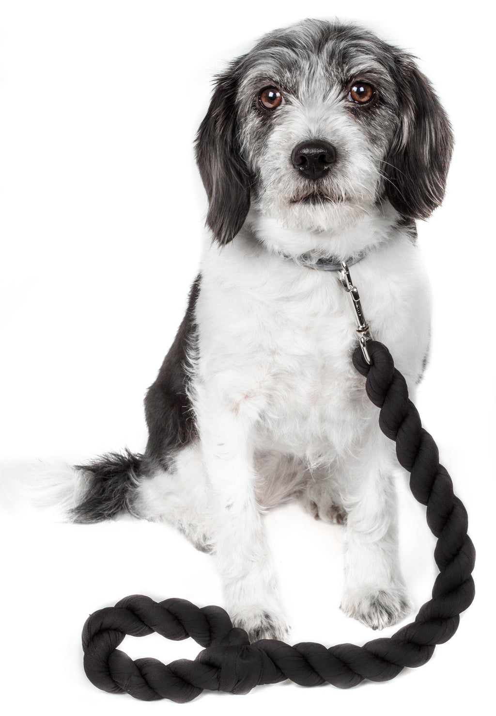 Tough-Tugger Shock Absorbing Dog Leash, 48" Nylon-Polyester