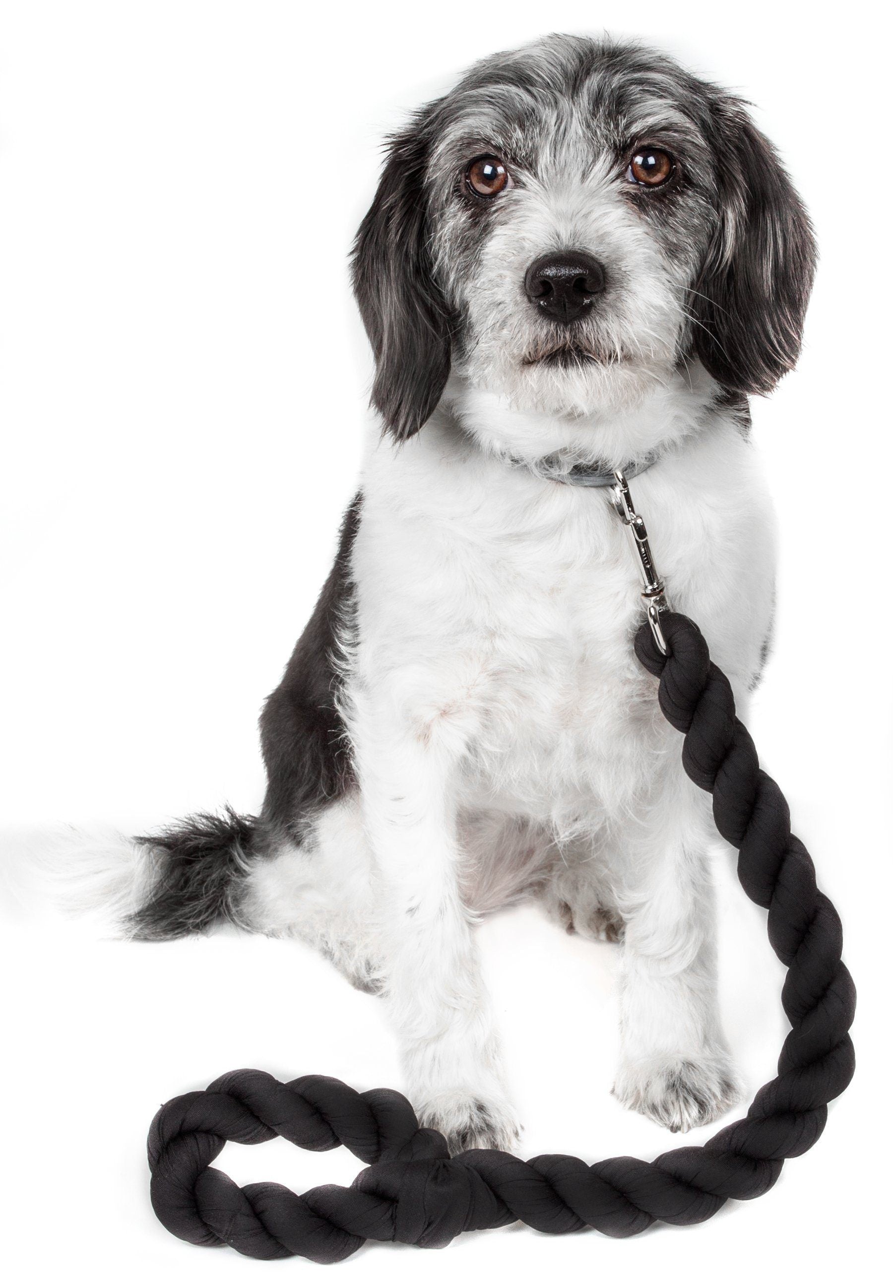 Tough-Tugger Shock Absorbing Dog Leash, 48" Nylon-Polyester