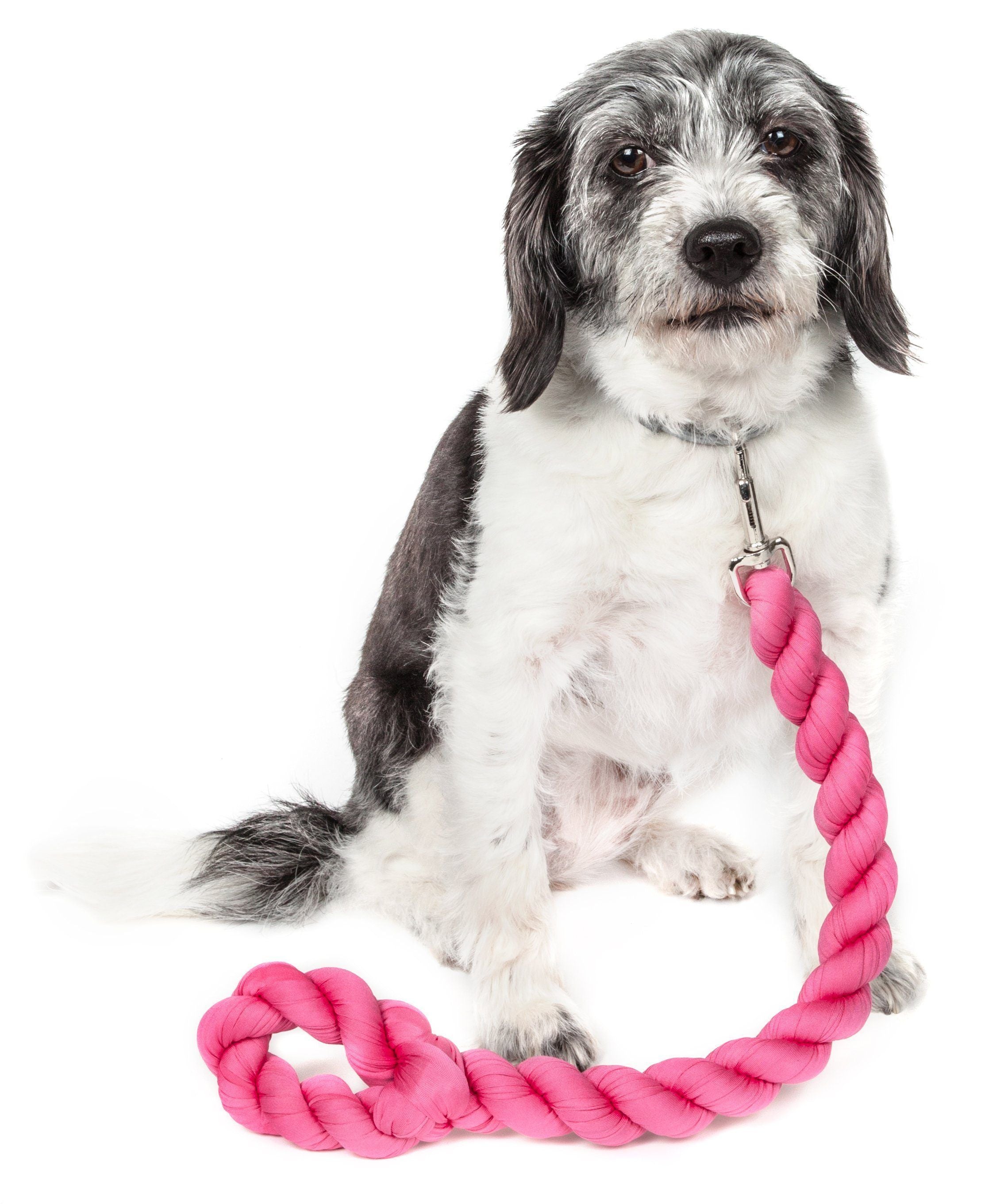 Tough-Tugger Shock Absorbing Dog Leash, 48" Nylon-Polyester