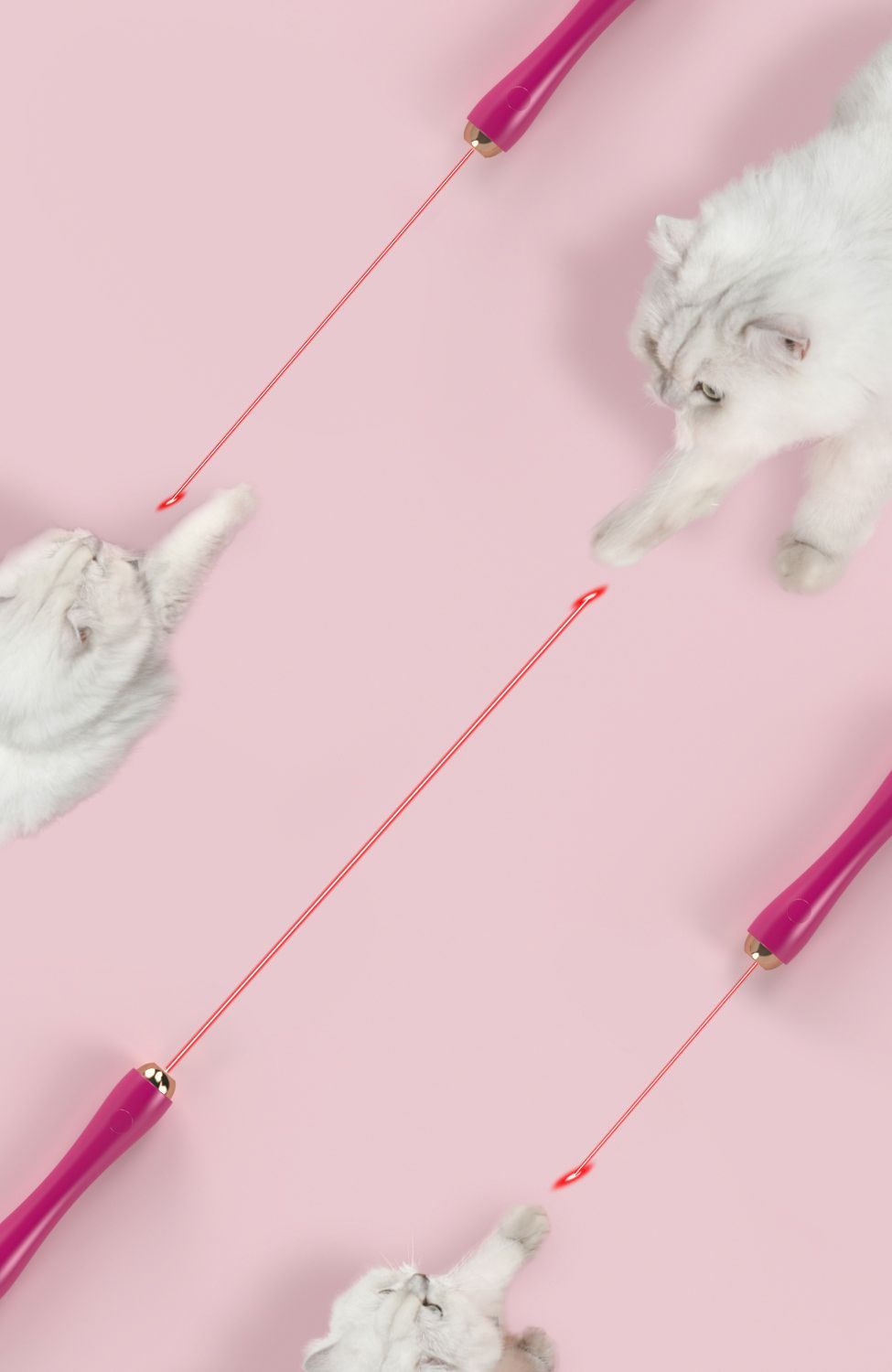 Wander-cat Customizable Extendable Cat Teaser with Laser