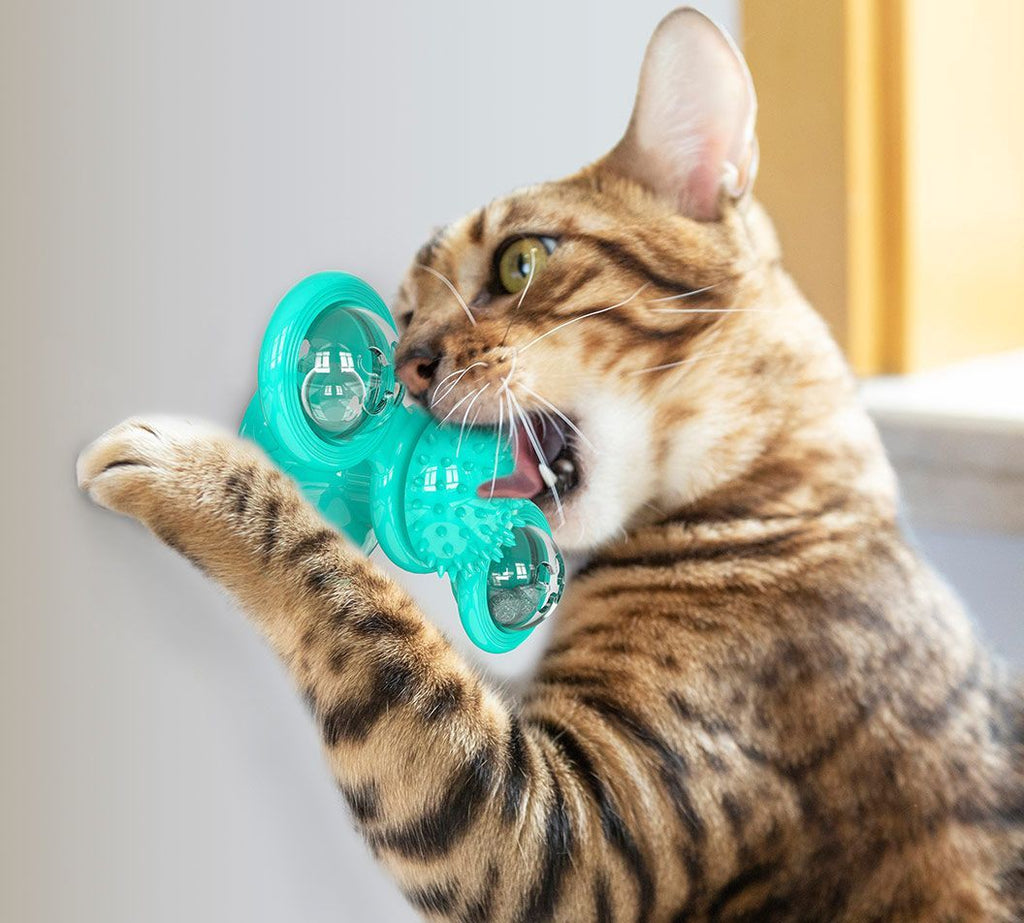 Rotating Suction Cup Cat Toy with Catnip and LED Ball